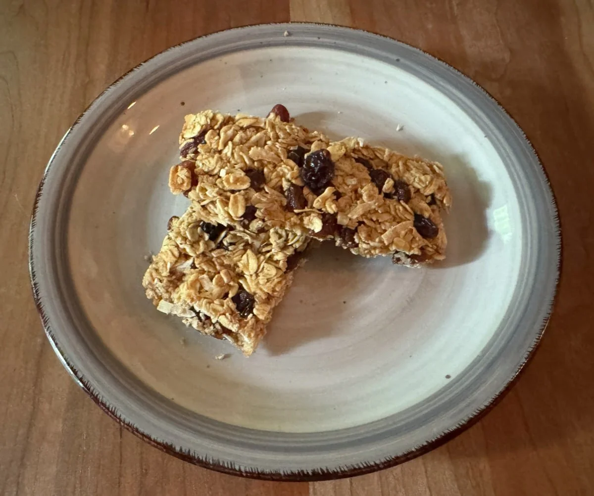 Homemade gluten-free oat bars with raisins and coconut flakes on a plate
