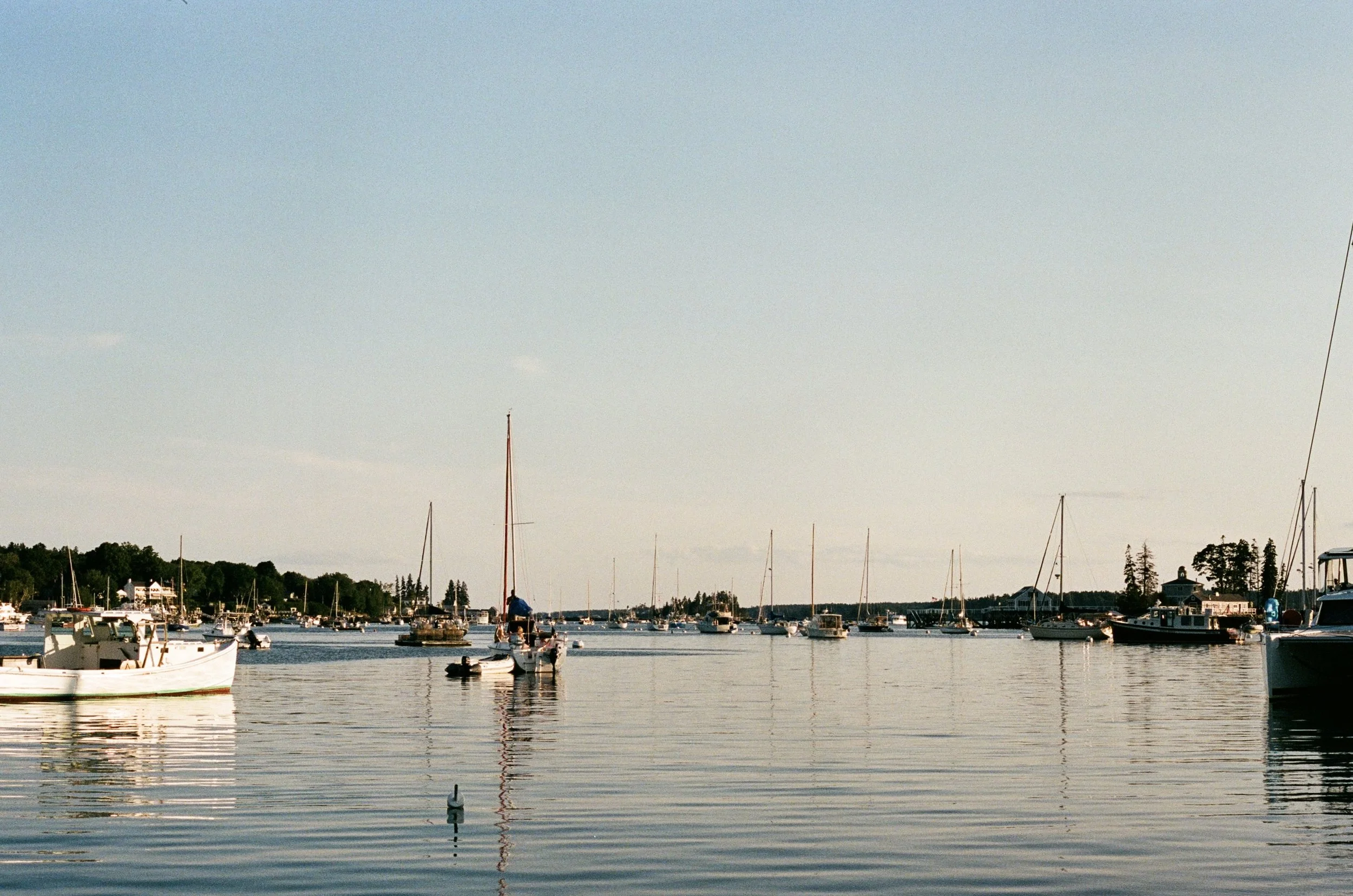 A serene harbor with multiple sailboats and motorboats floating on calm water under a clear sky. Trees and buildings are visible in the distance.