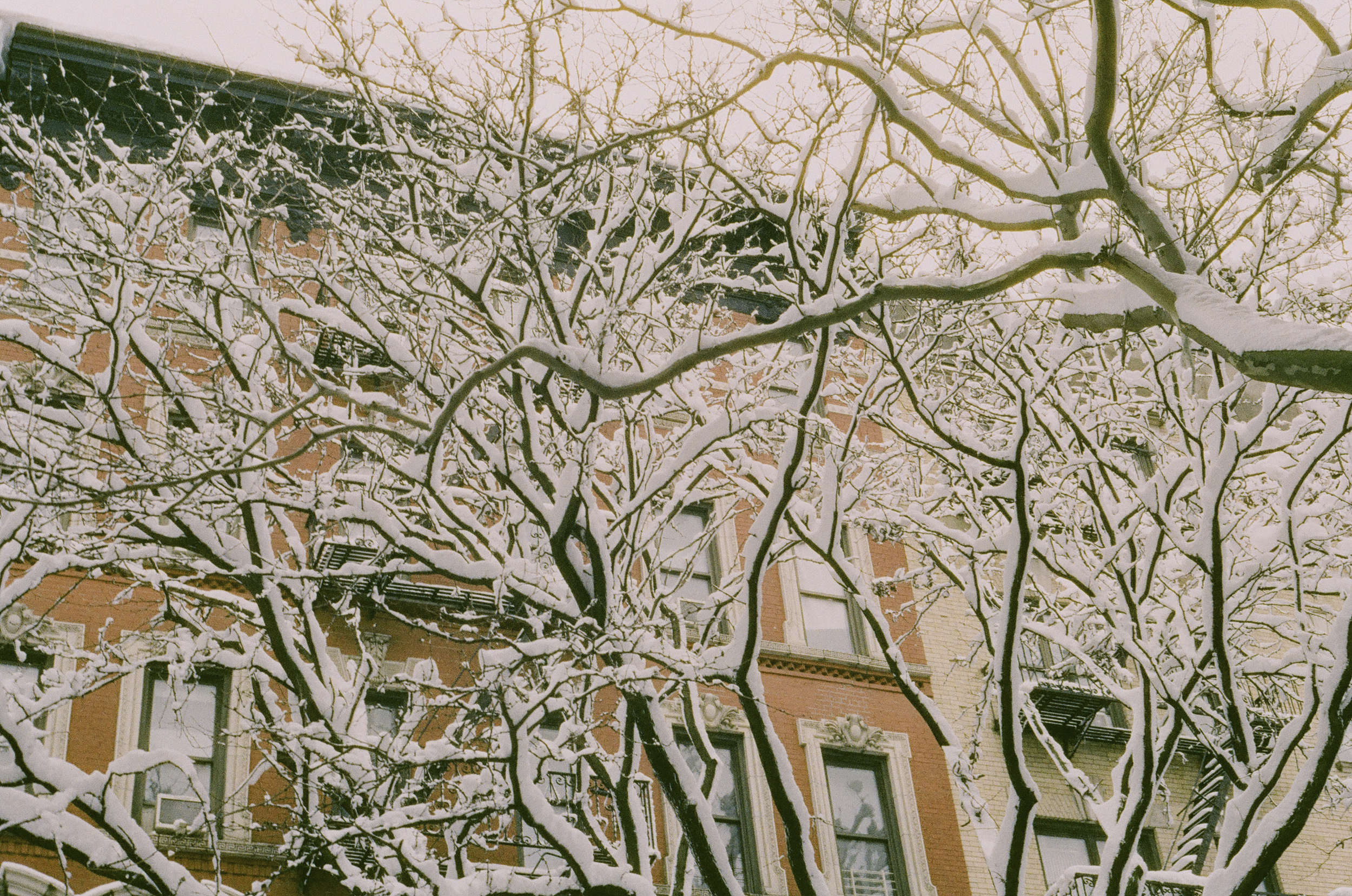 febsnowdayrev-15.png