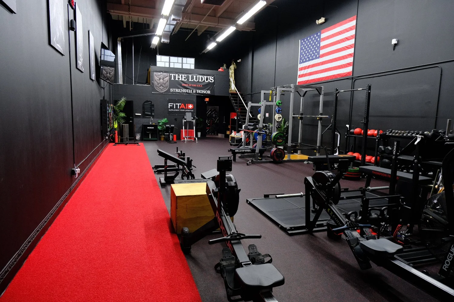 The Ludus gym