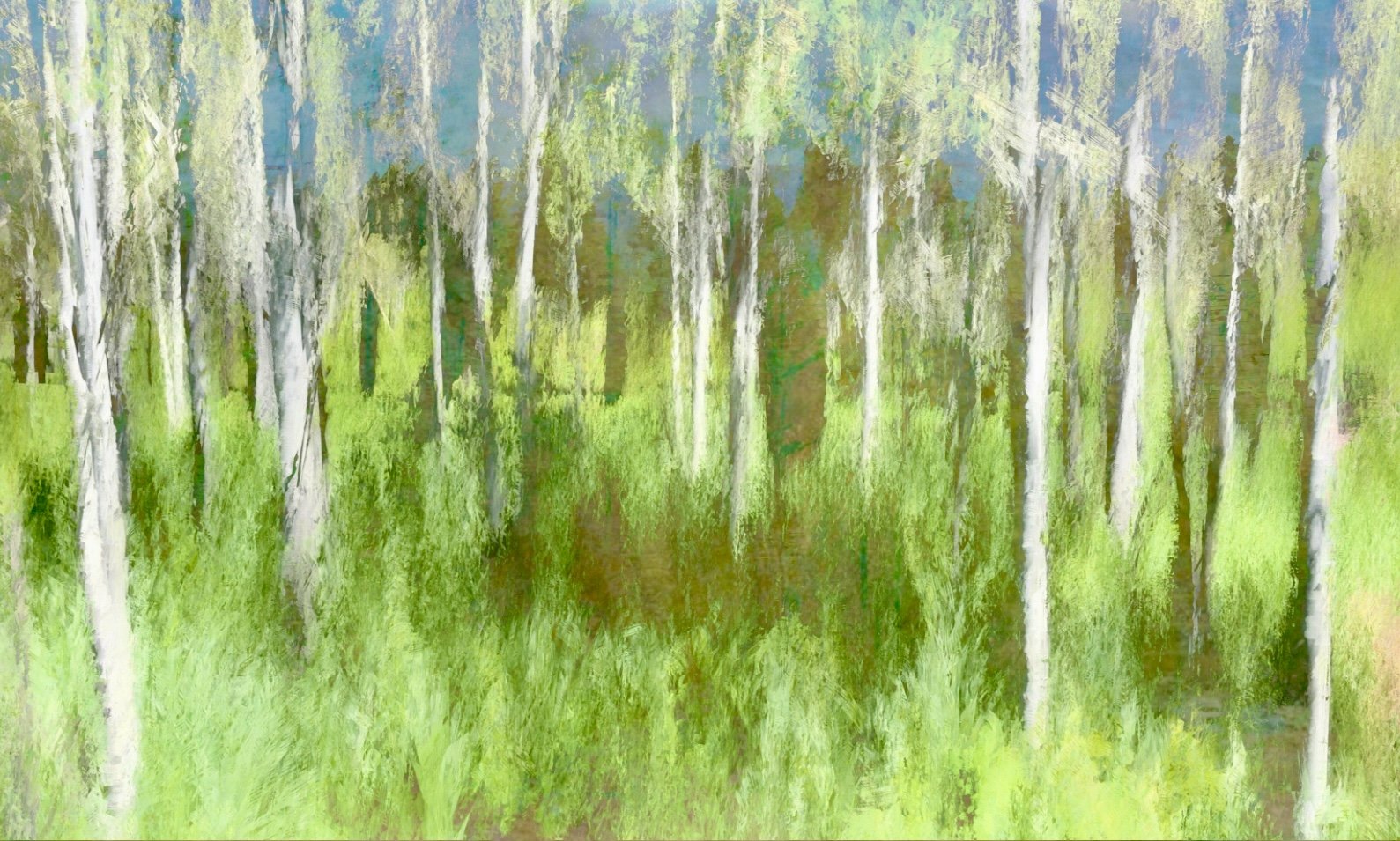Birch Field