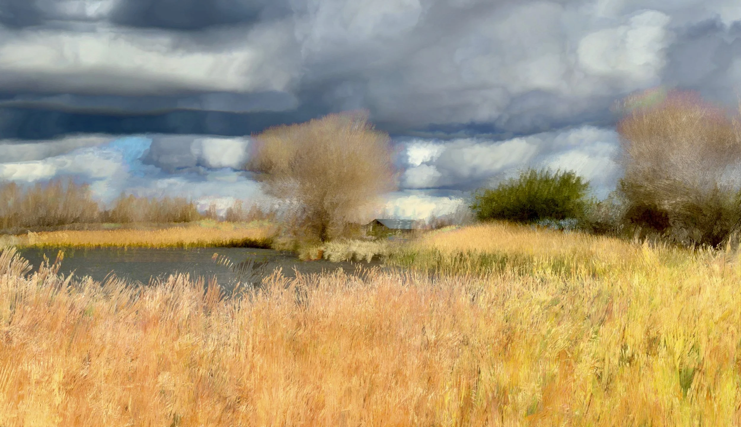 Dark Cloud Over Small Pond