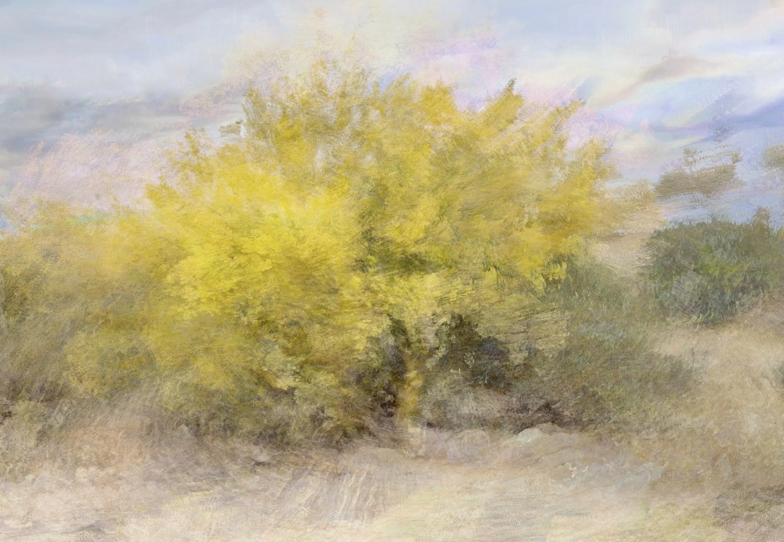 Spring Palo Verde