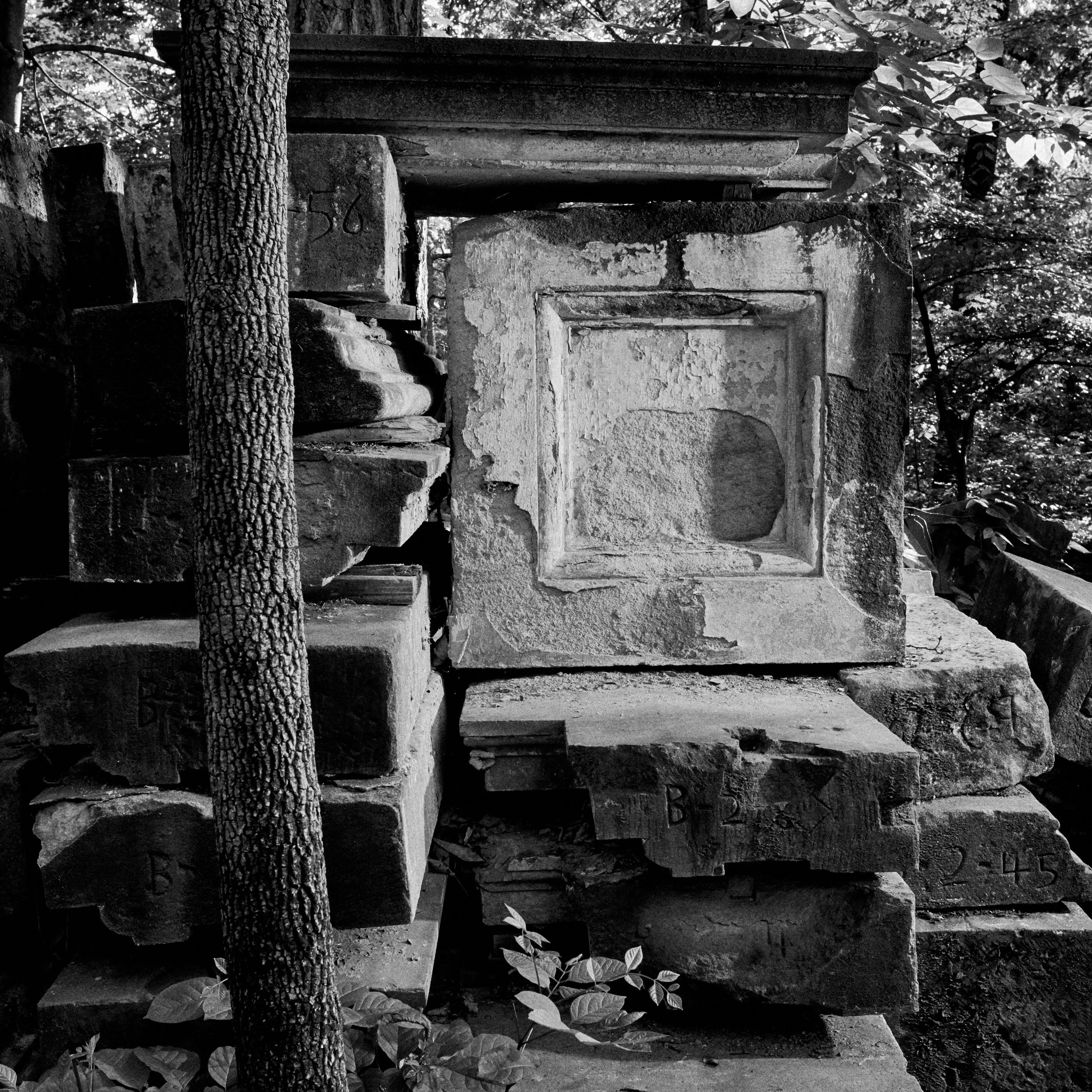 Documentary photograph of discarded U.S. Capitol stones overgrown in Rock Creek Park