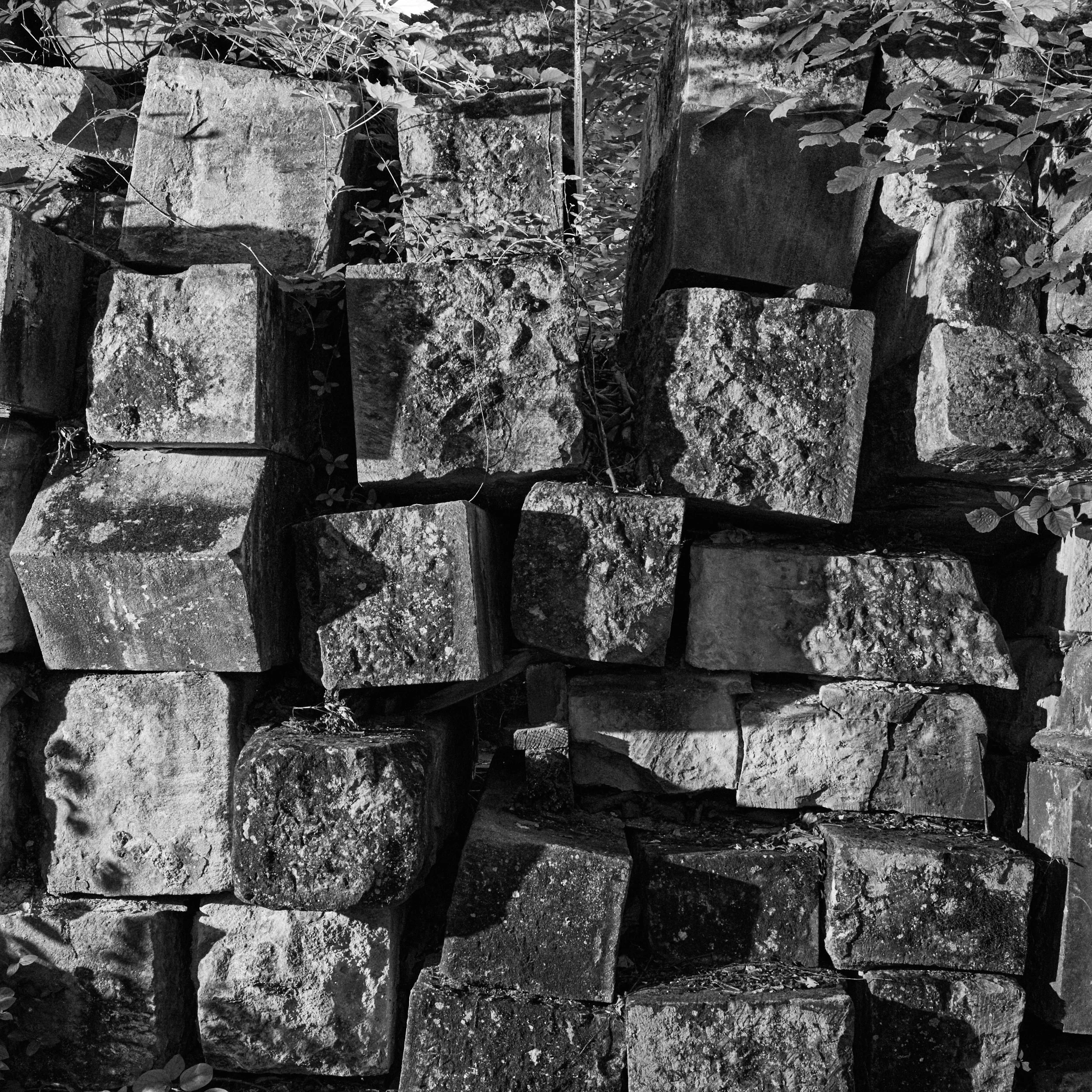 Documentary photograph of discarded U.S. Capitol stones overgrown in Rock Creek Park