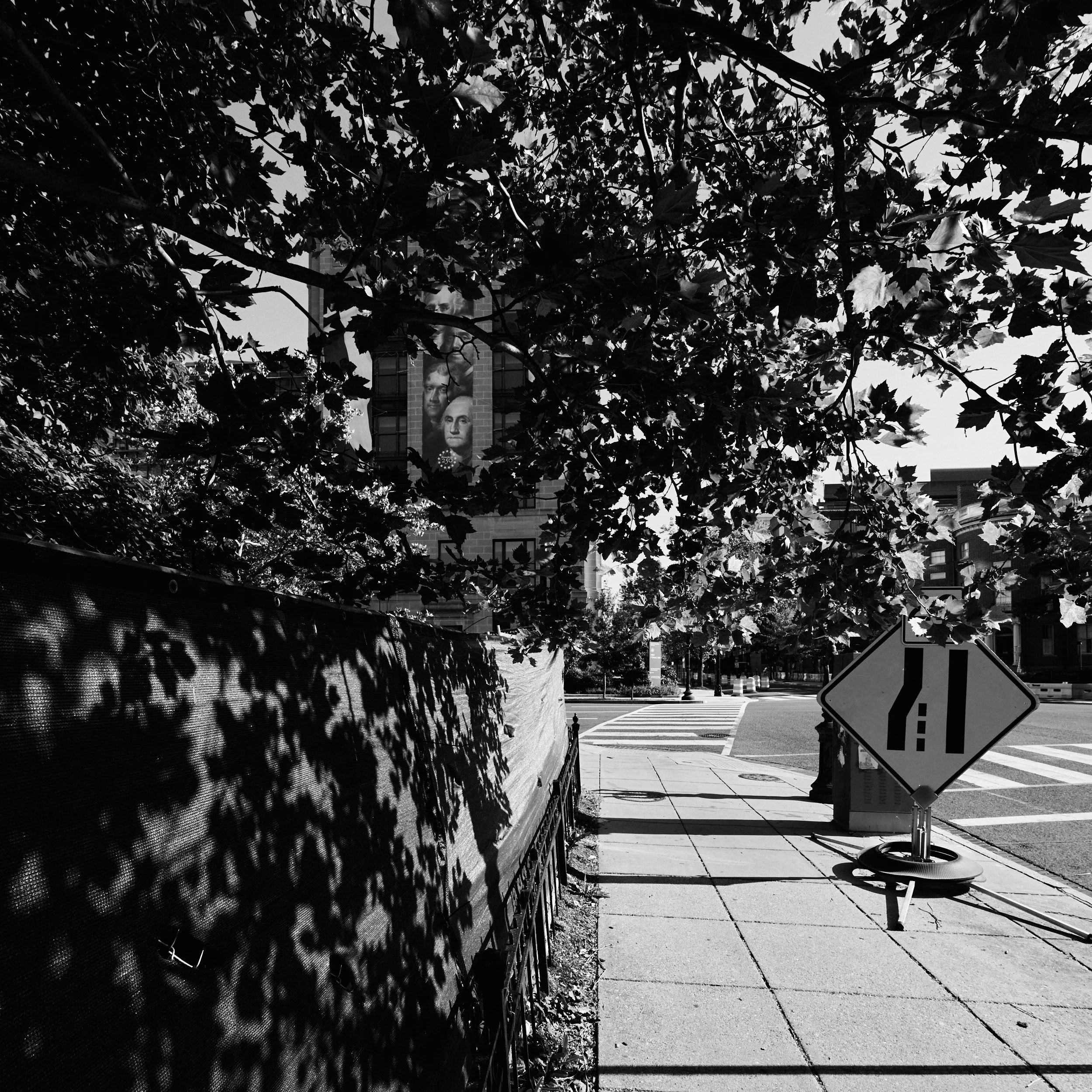 Black and white photo of a city sidewalk scene, with sunlight casting shadows of tree leaves on the sidewalk and a fence, a street sign, and buildings in the background.
