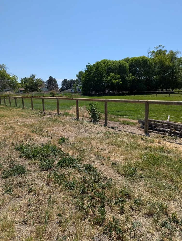 agriculture-fence-builder-boise.jpg