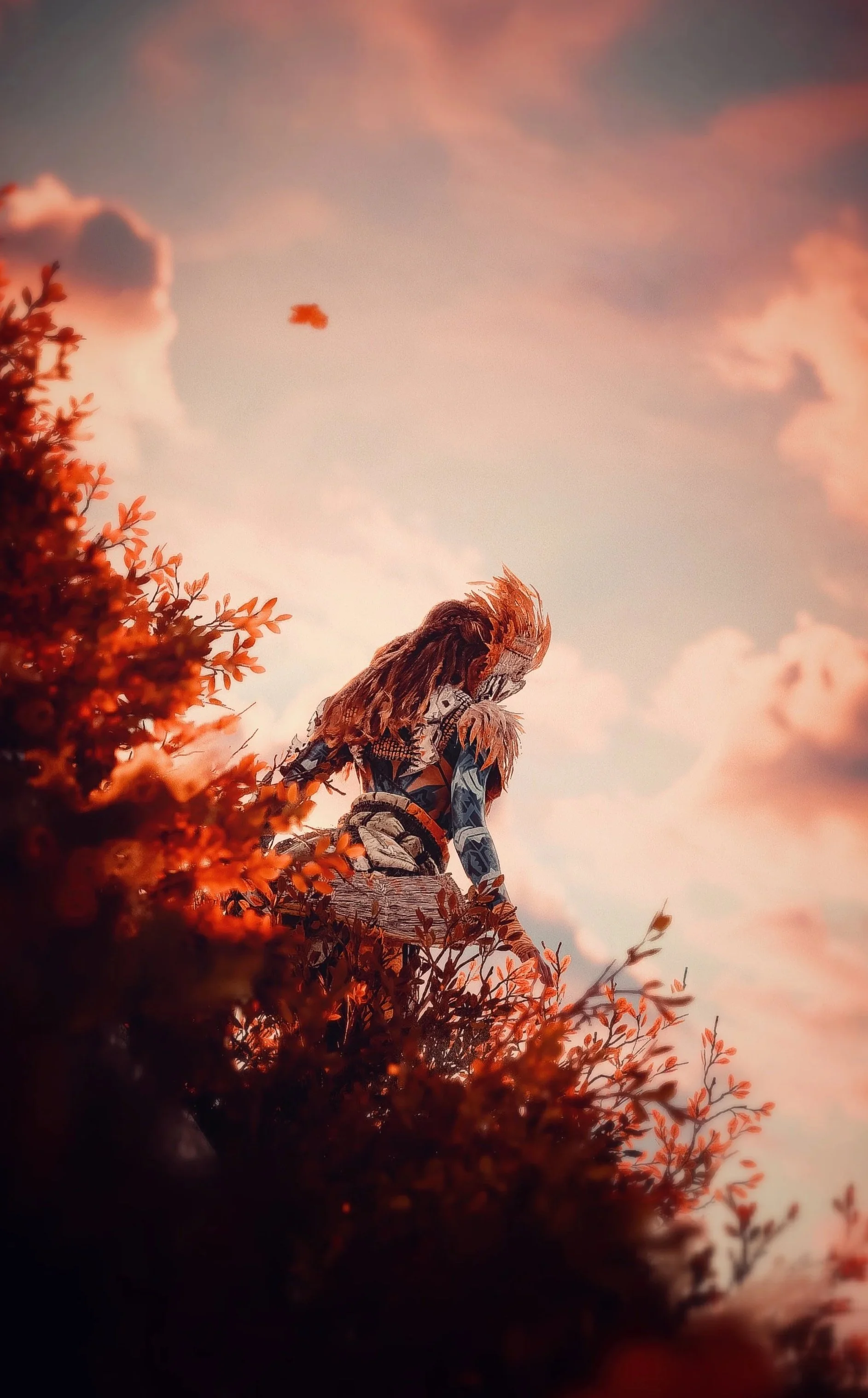  Orange Hues  – Sill (@sill_vp)