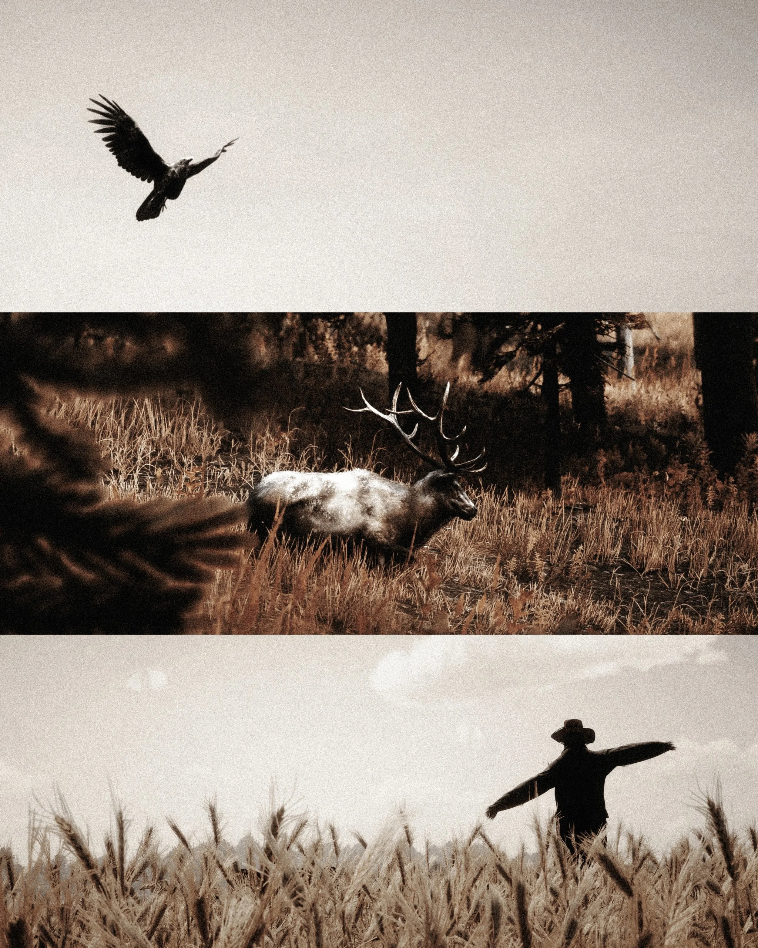 “Chilled air and soft warm tones bring feelings of home on the cusp of autumn. The world is a little more gentle feeling during these times.” - Ghost (@groovighost)