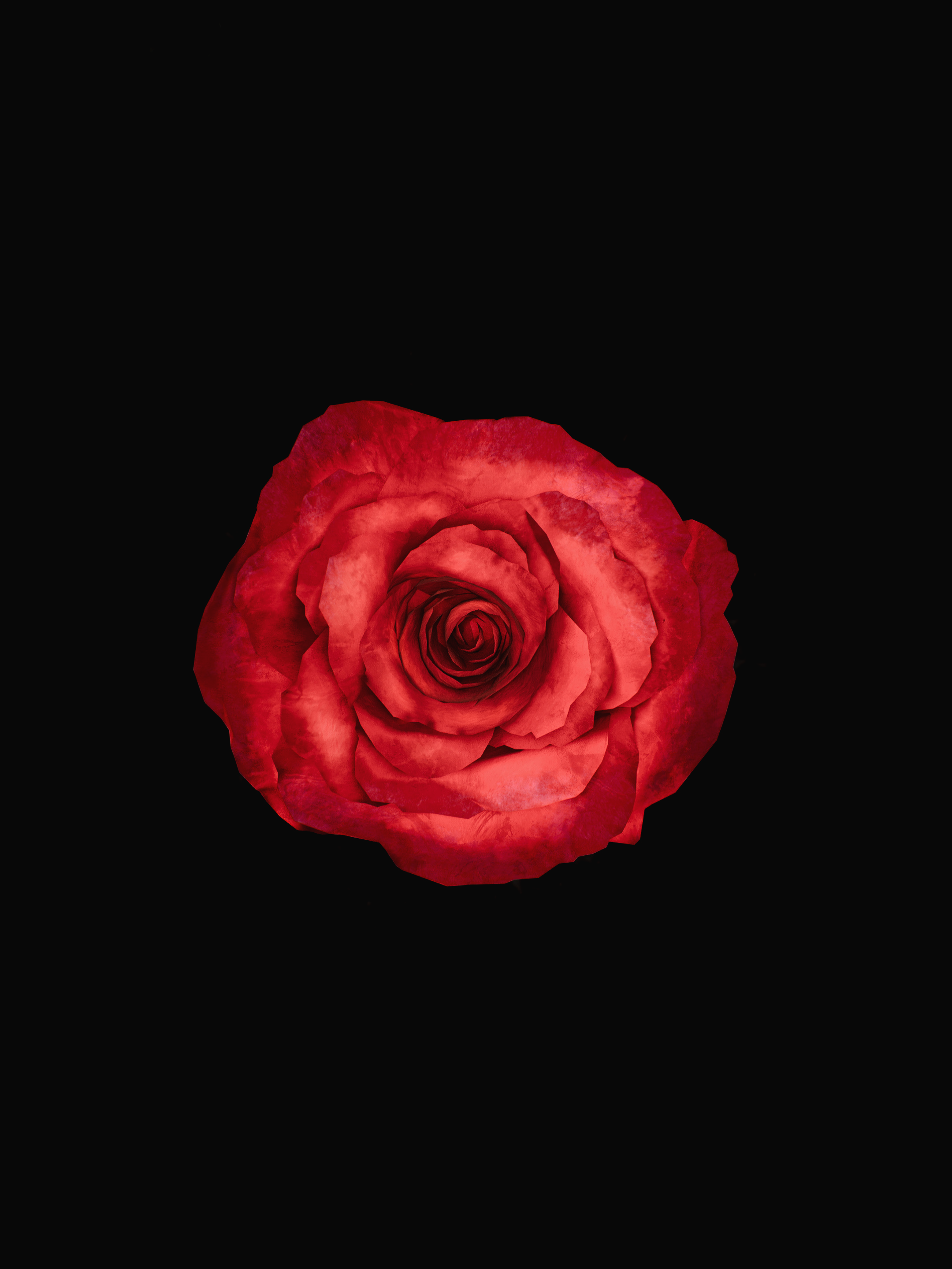 Nimmu (@niinakaniin.vp)