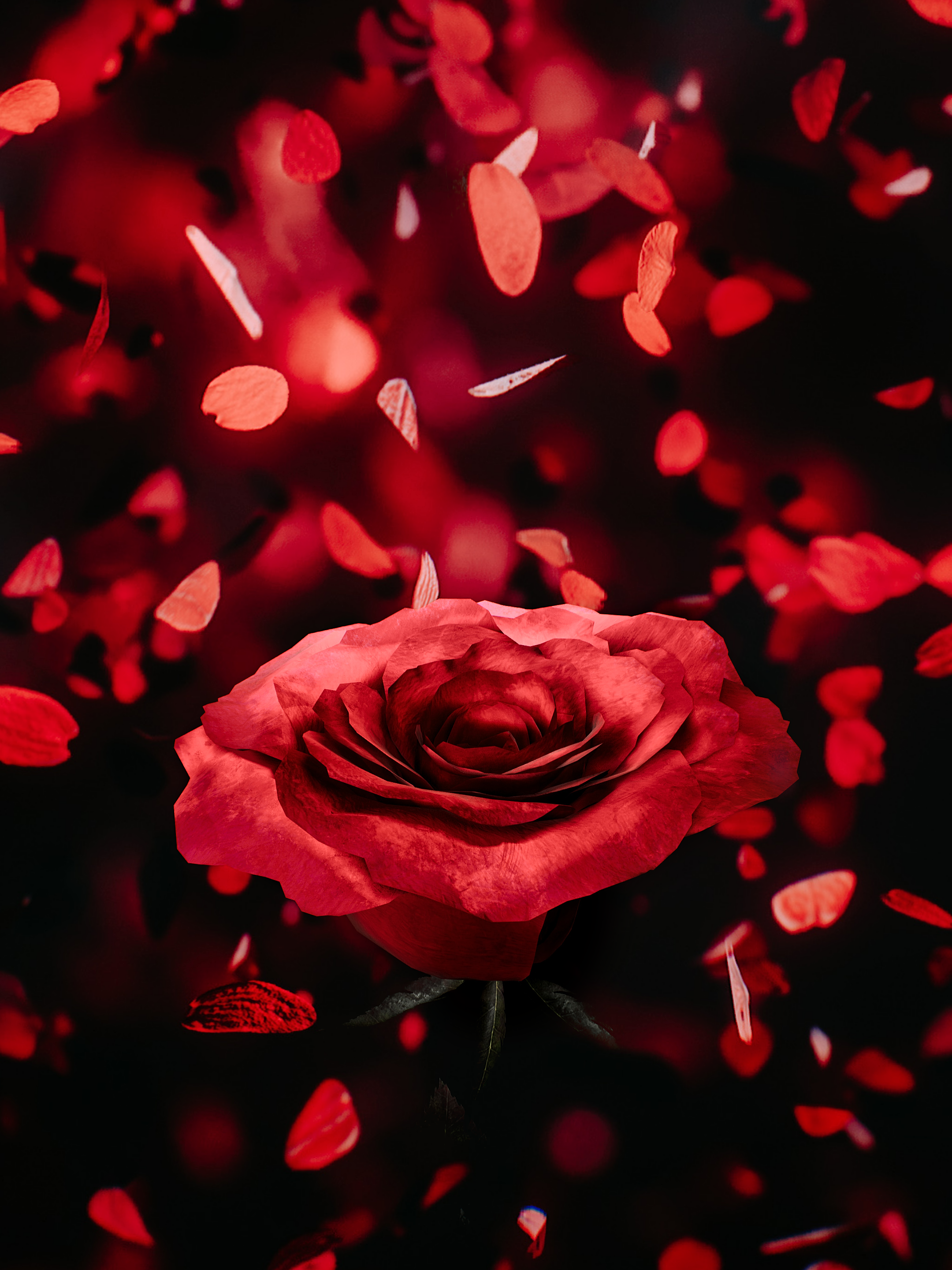 Nimmu (@niinakaniin.vp)