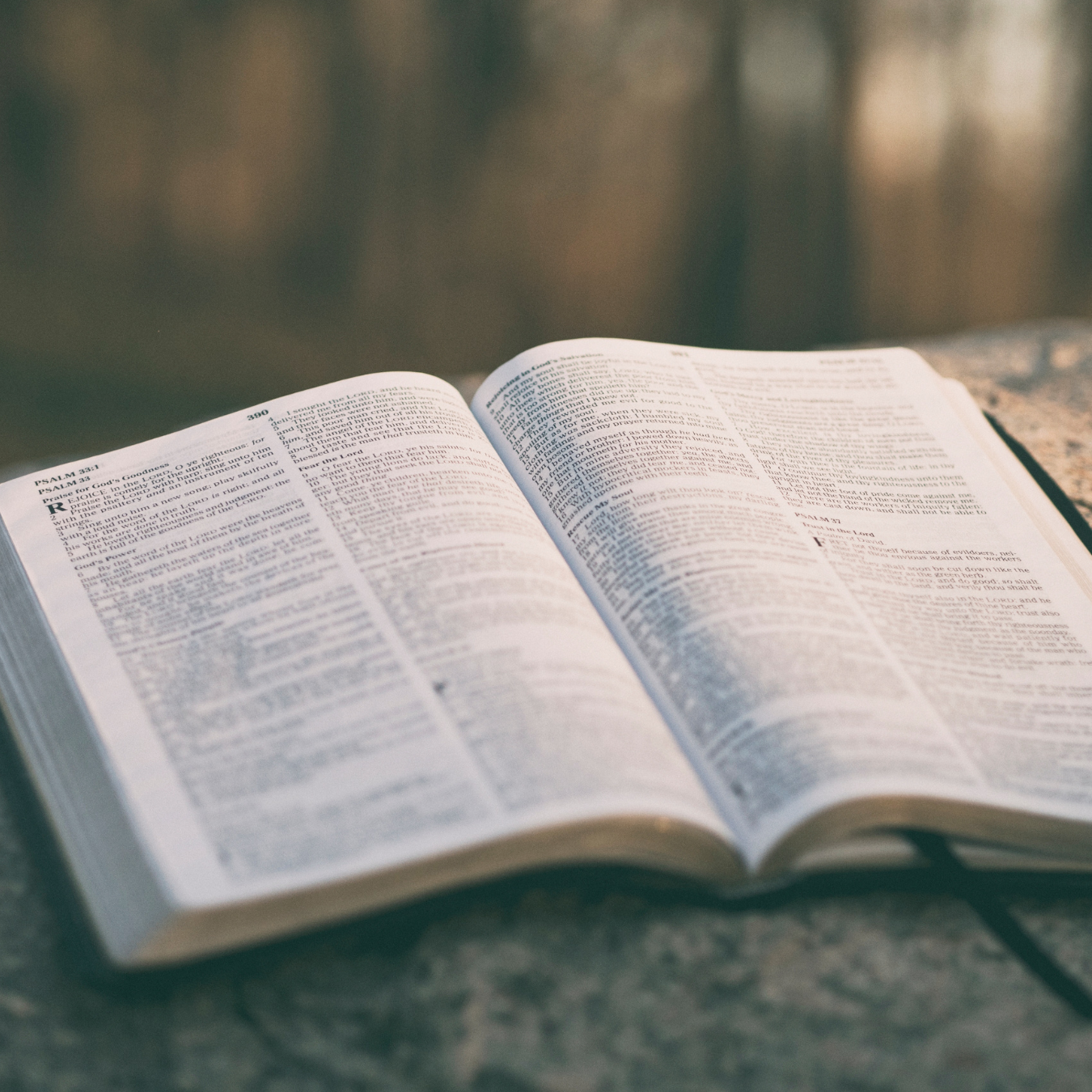 Open Bible resting on a stone surface outdoors with blurred natural background.