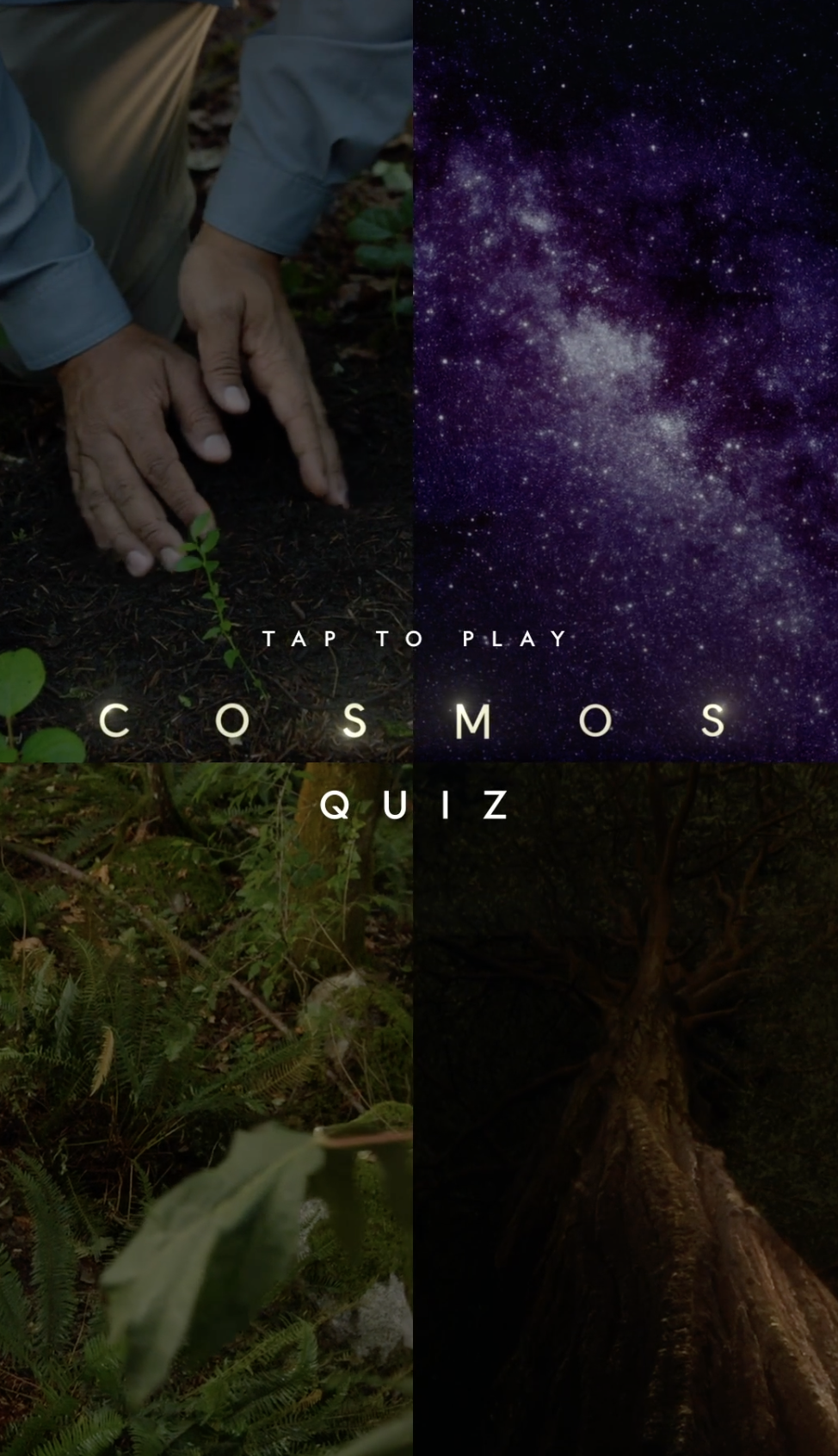 Screenshot 2026-04-15 at 12.47.53 PM.png