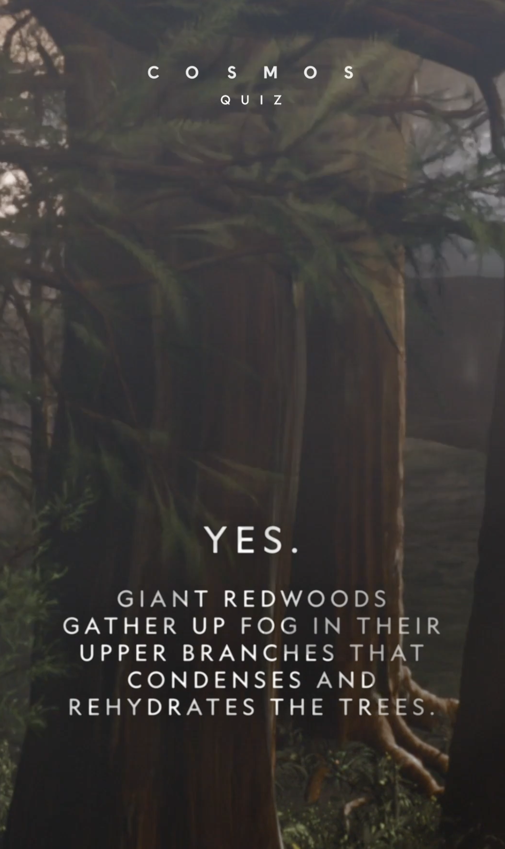 Screenshot 2026-04-15 at 12.49.50 PM.png