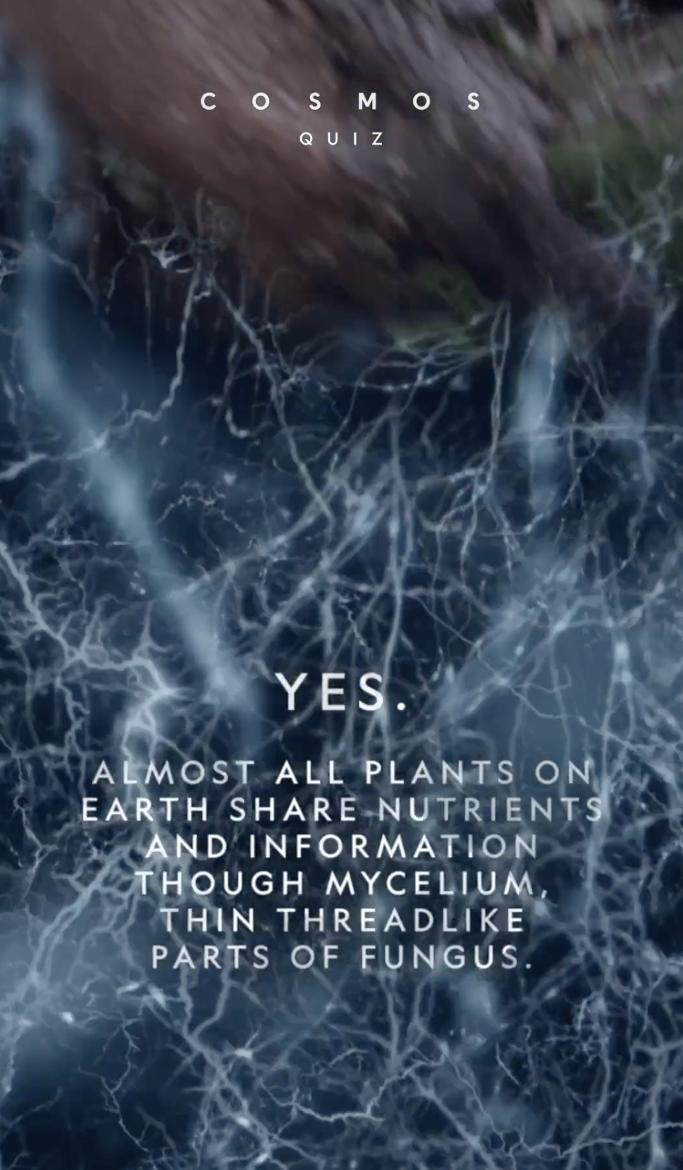 Screenshot 2026-04-15 at 12.49.24 PM.png