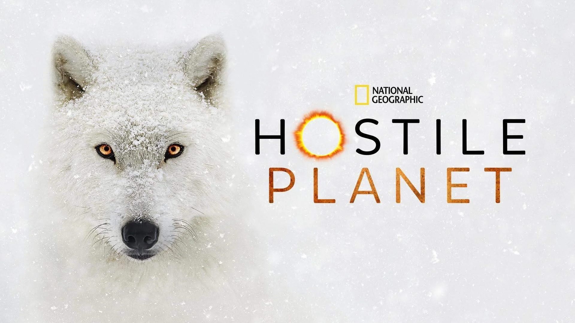 Hostile Planet