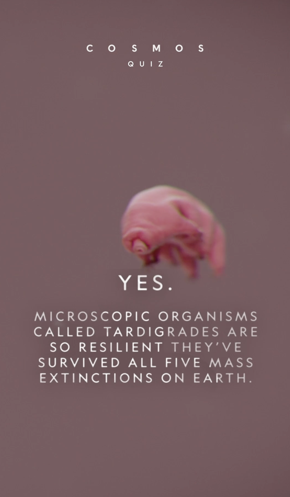 Screenshot 2026-04-15 at 12.48.52 PM.png