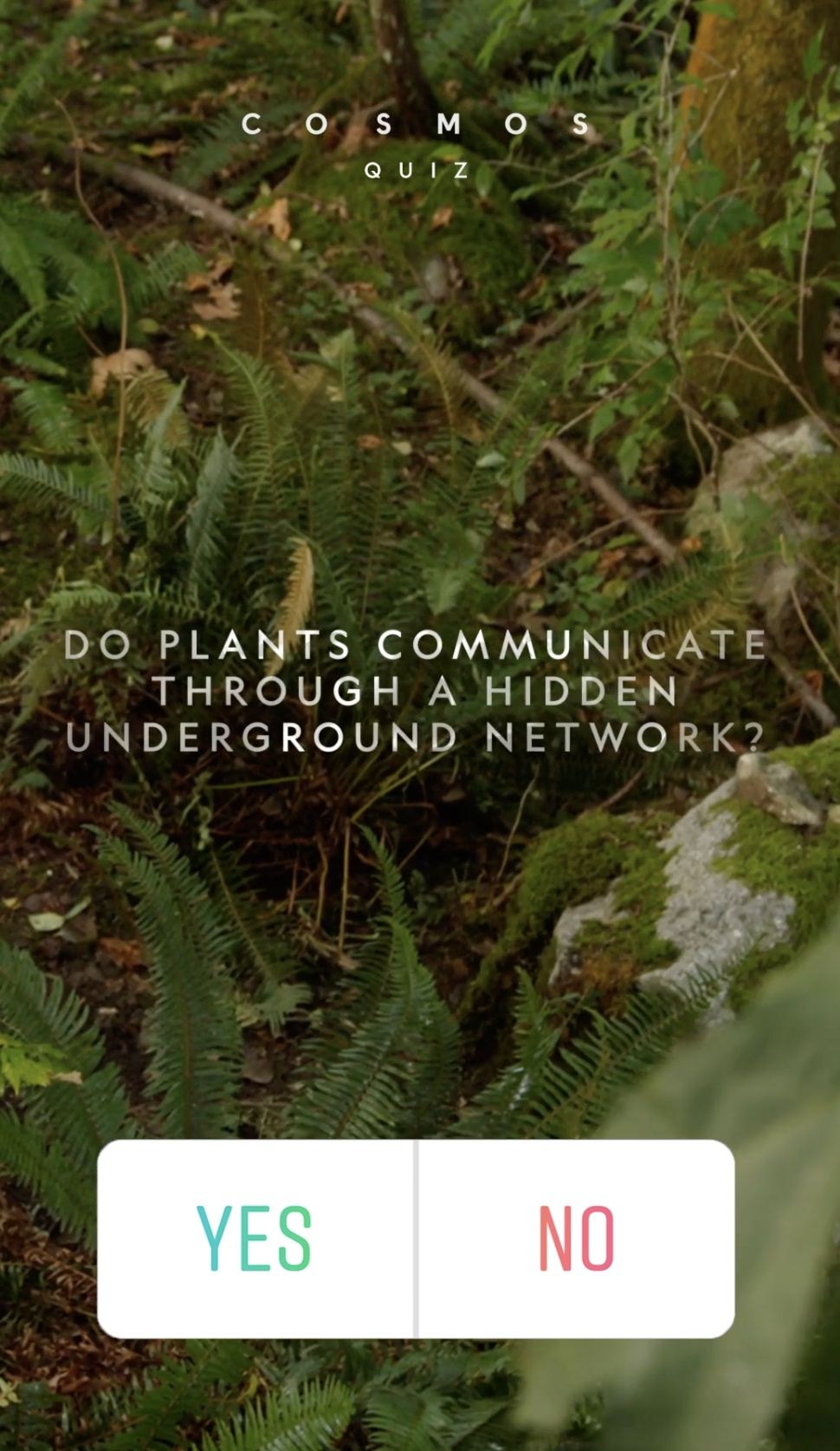 Screenshot 2026-04-15 at 12.49.05 PM.png