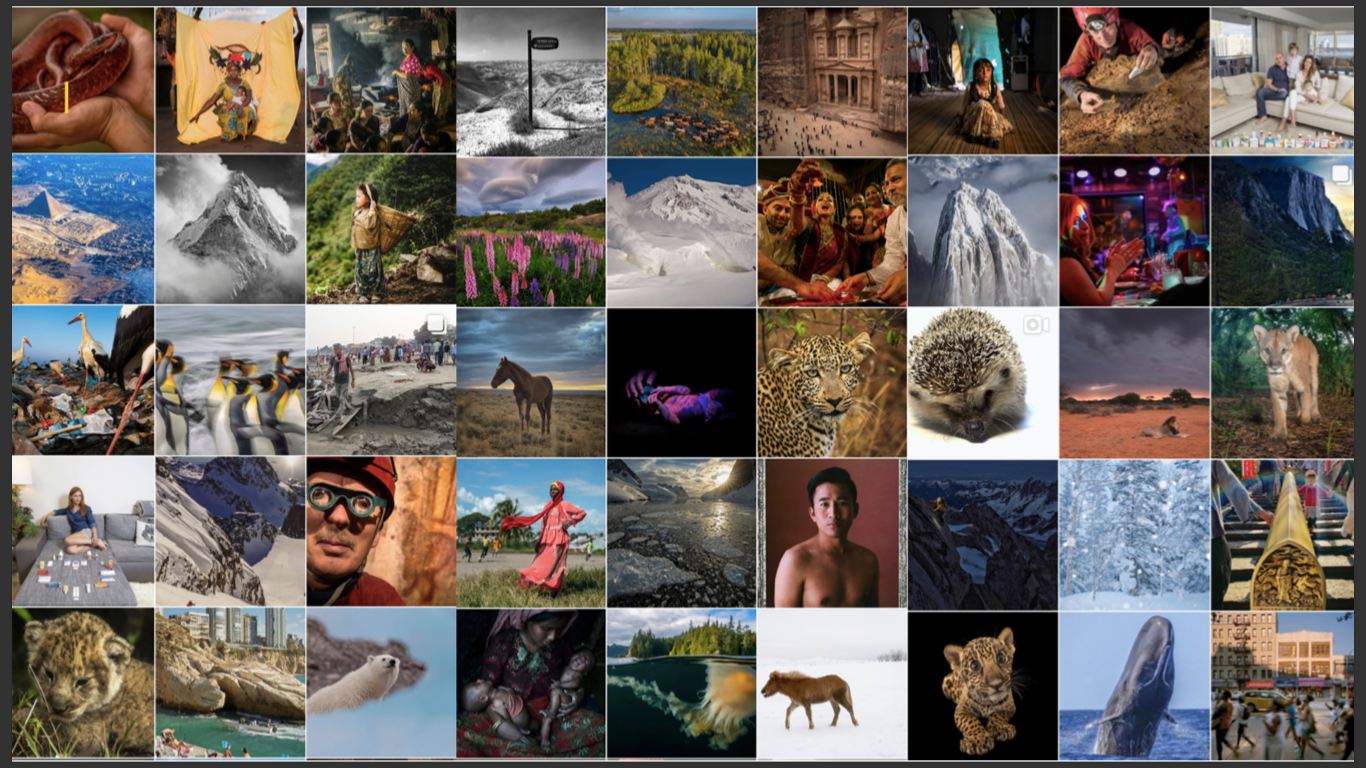 National Geographic Content Engine