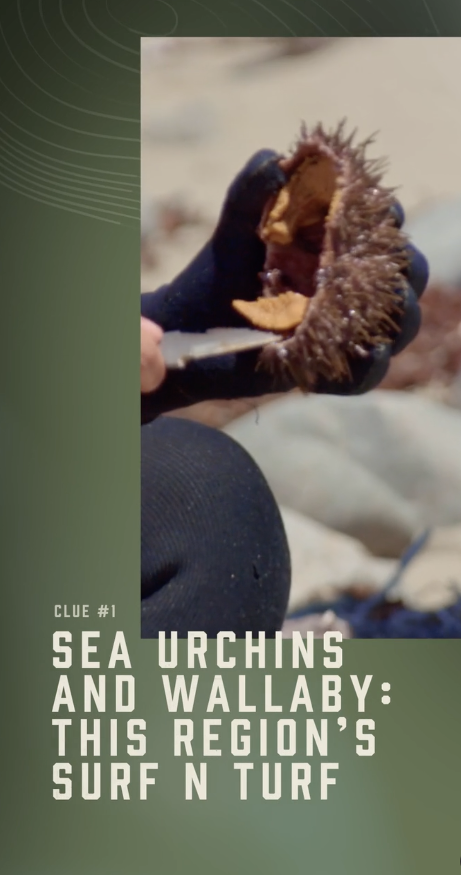 Screenshot 2026-04-15 at 11.18.53 AM.png