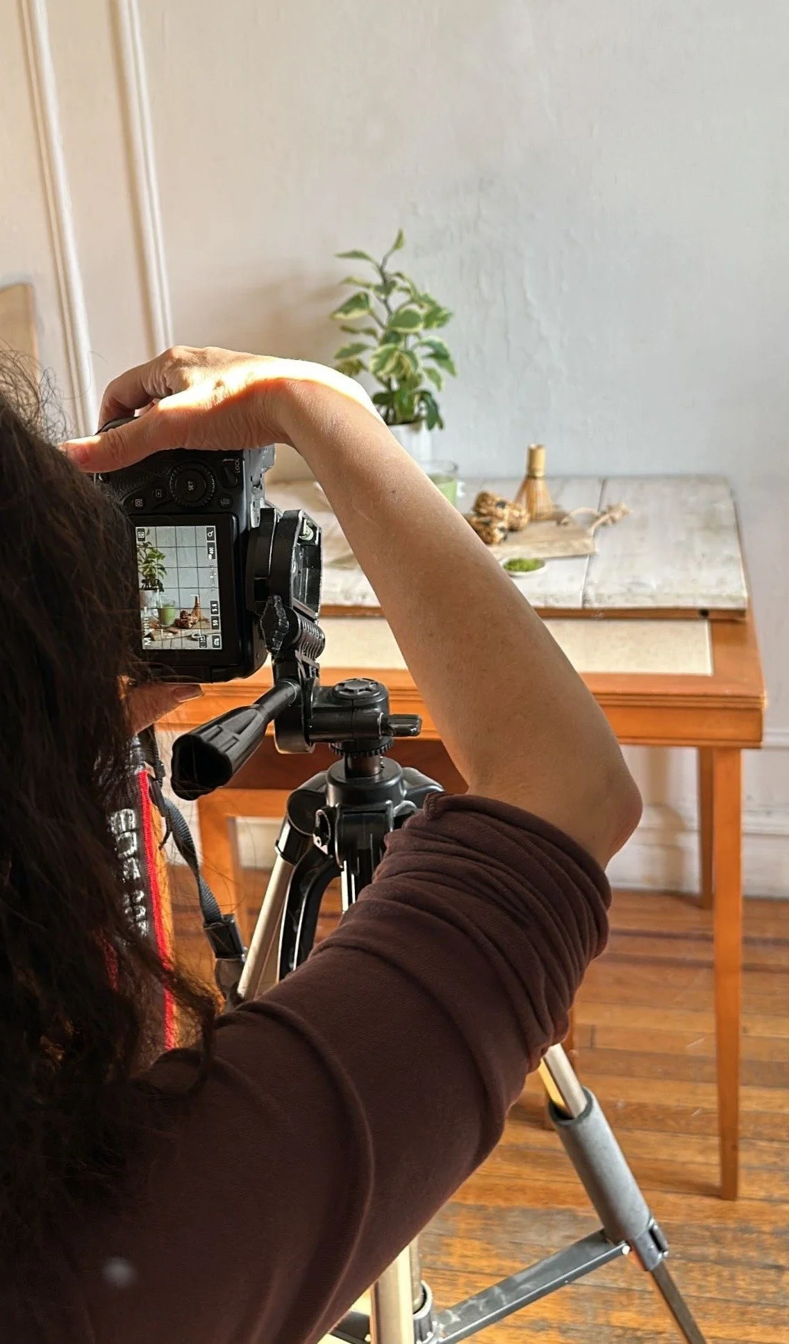 A person is taking a photograph of a potted plant and some objects on a table with a camera mounted on a tripod inside a room with wooden floors.