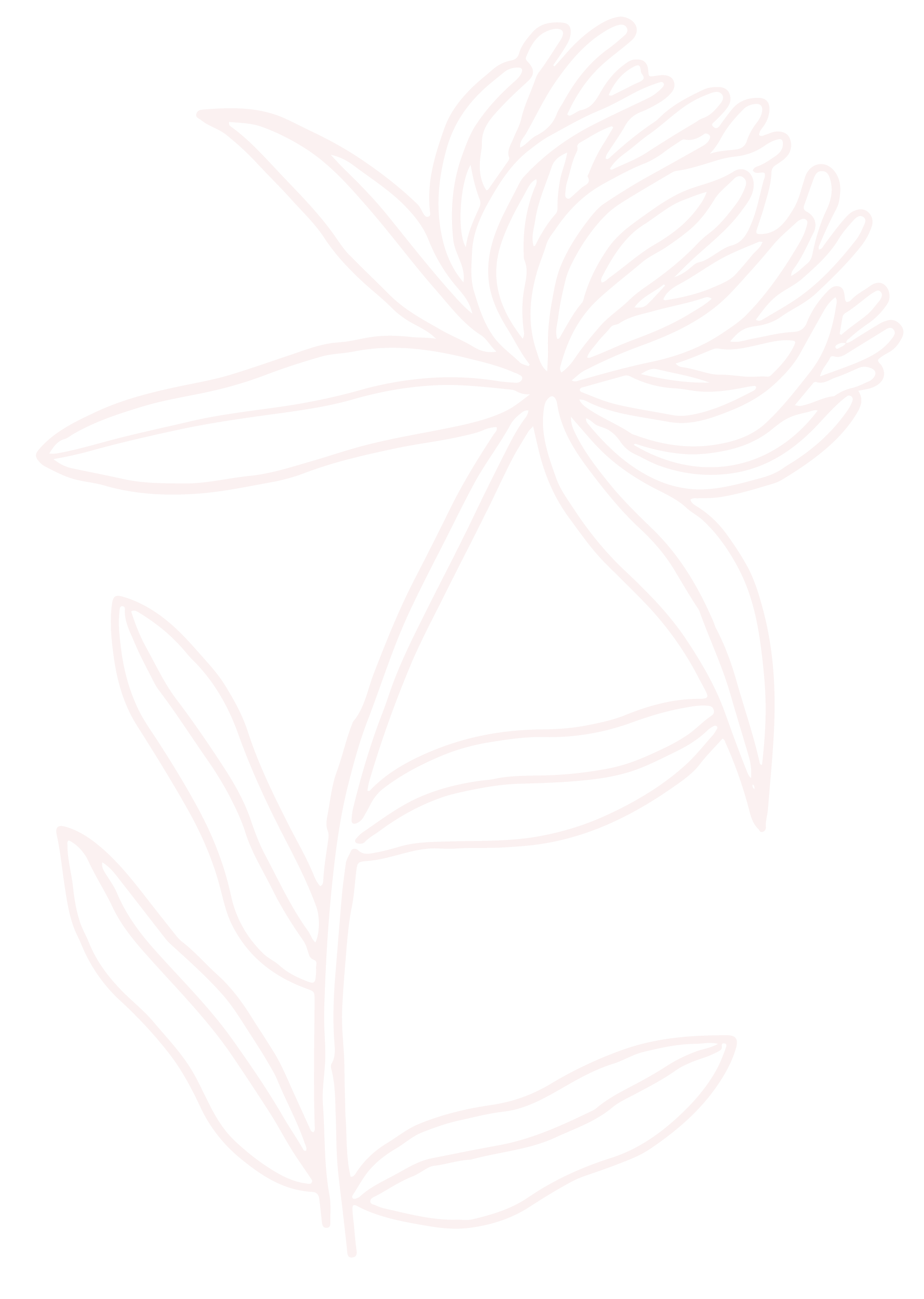 Line drawing of a flower with elongated petals and leaves, pink lines on a black background.