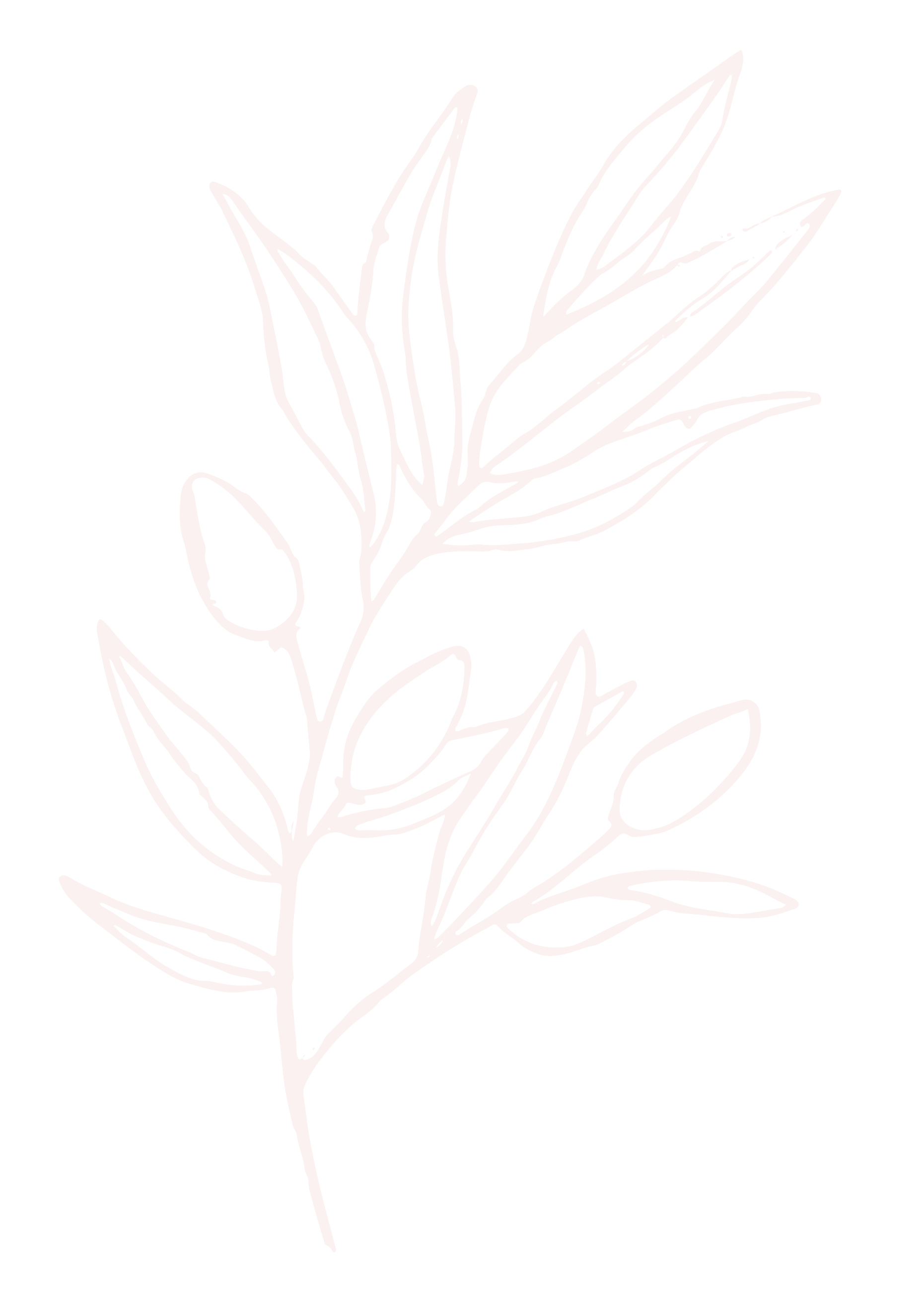 A minimalist line drawing of a branch with elongated leaves and buds, in pink against a black background.