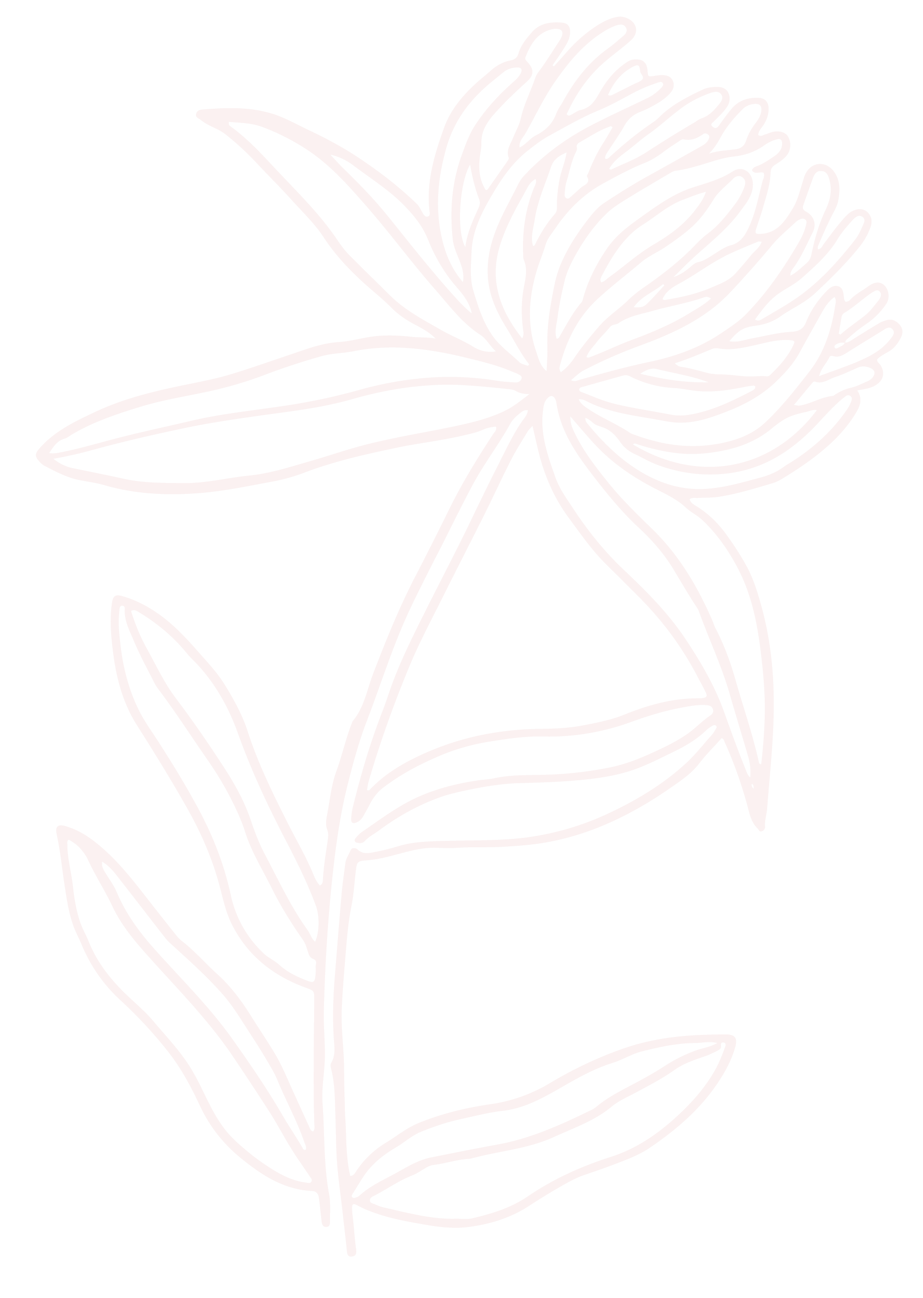 Line drawing of a flower with elongated petals and leaves, pink lines on a black background.