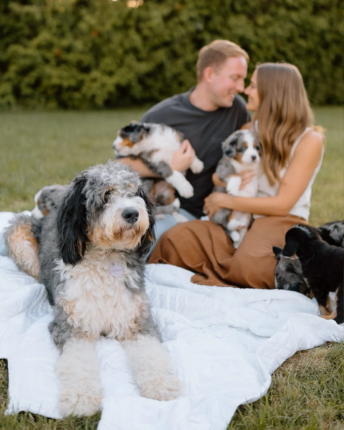 This evening was spent running around the backyard with Nicole, Josh + their dog&rsquo;s adorable little puppies 🤎 Sessions with pups involved will alwaysss be a yes from me!