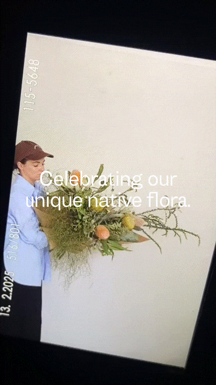 1 / 6