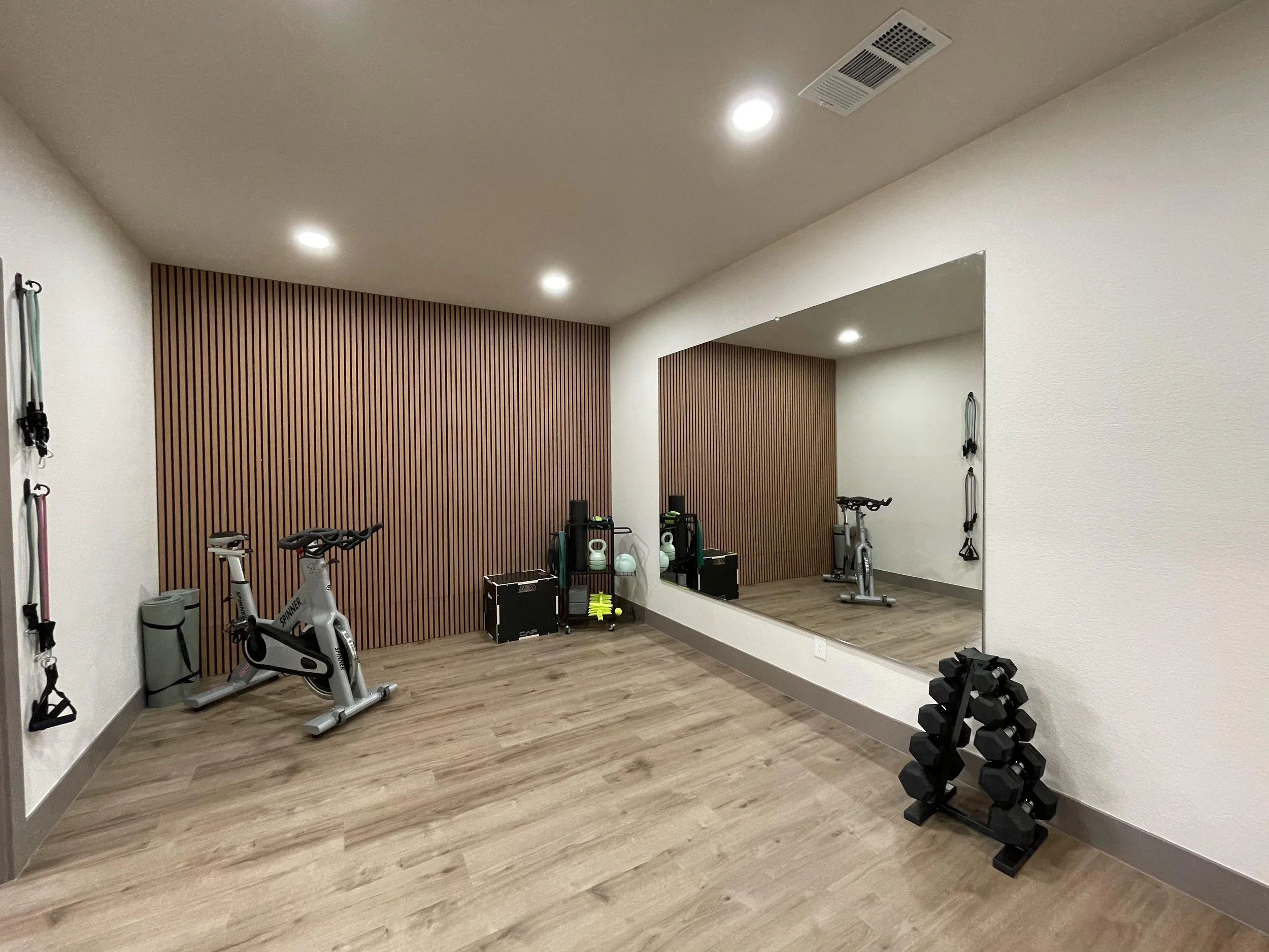 An empty suite with acoustic wall paneling with therapy equipment including: large mirror, exercise bike, small dumbbell rack, various fitness accessories, and resistance bands mounted on the wall. 