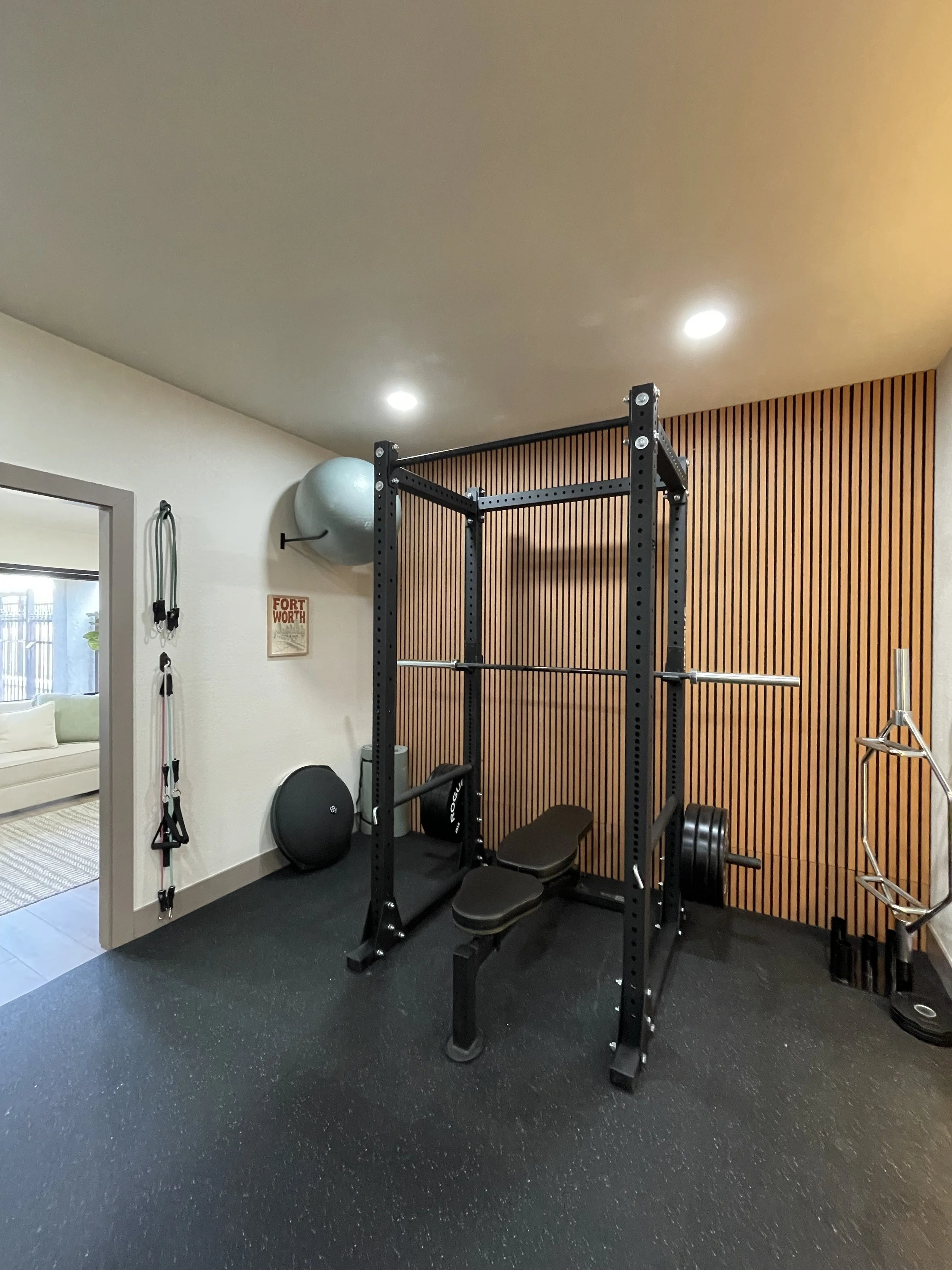 rogue squat rack with exercise ball and resistance bands against acoustic paneling