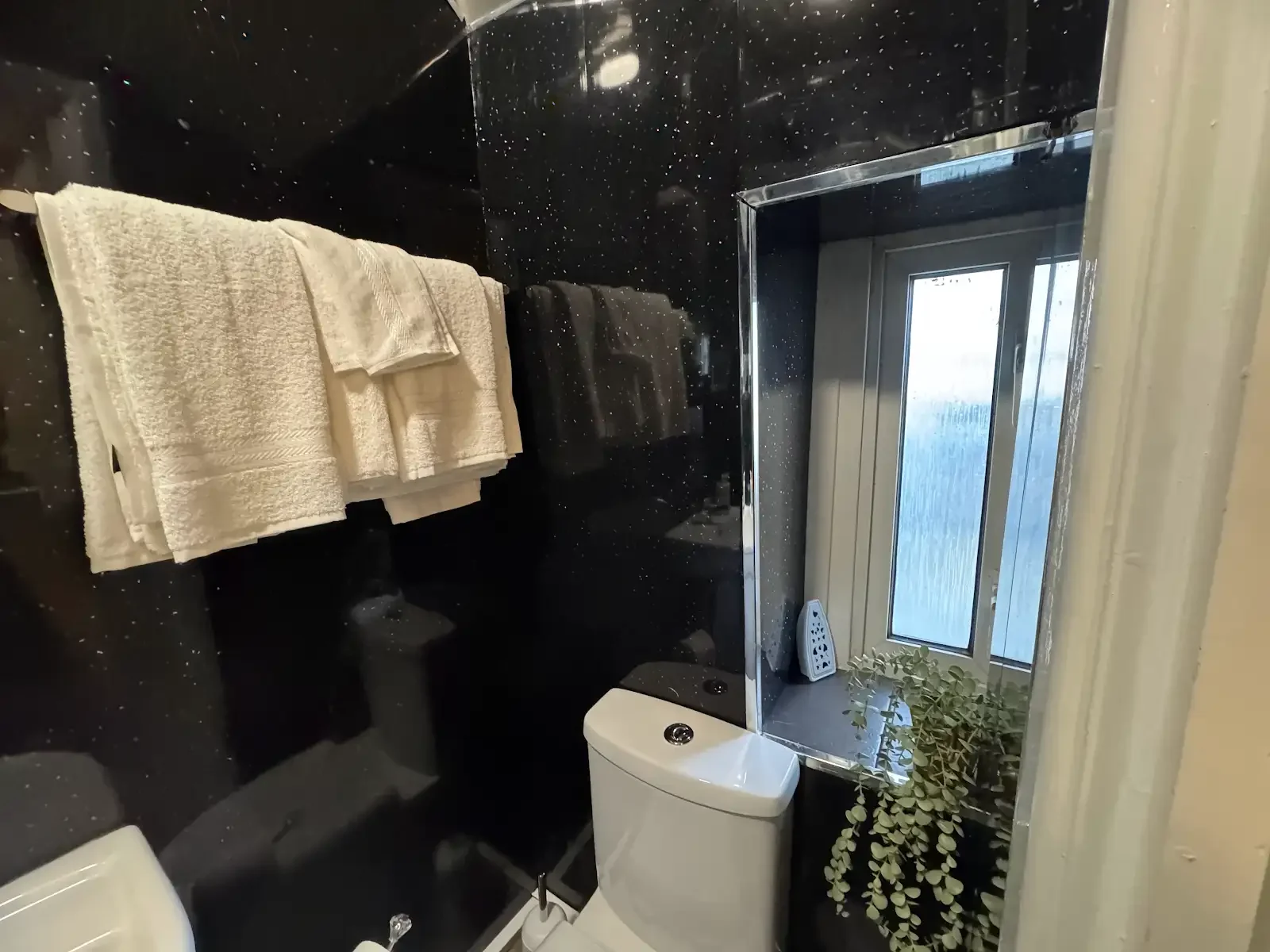 IMG_1961 - Copy.webp