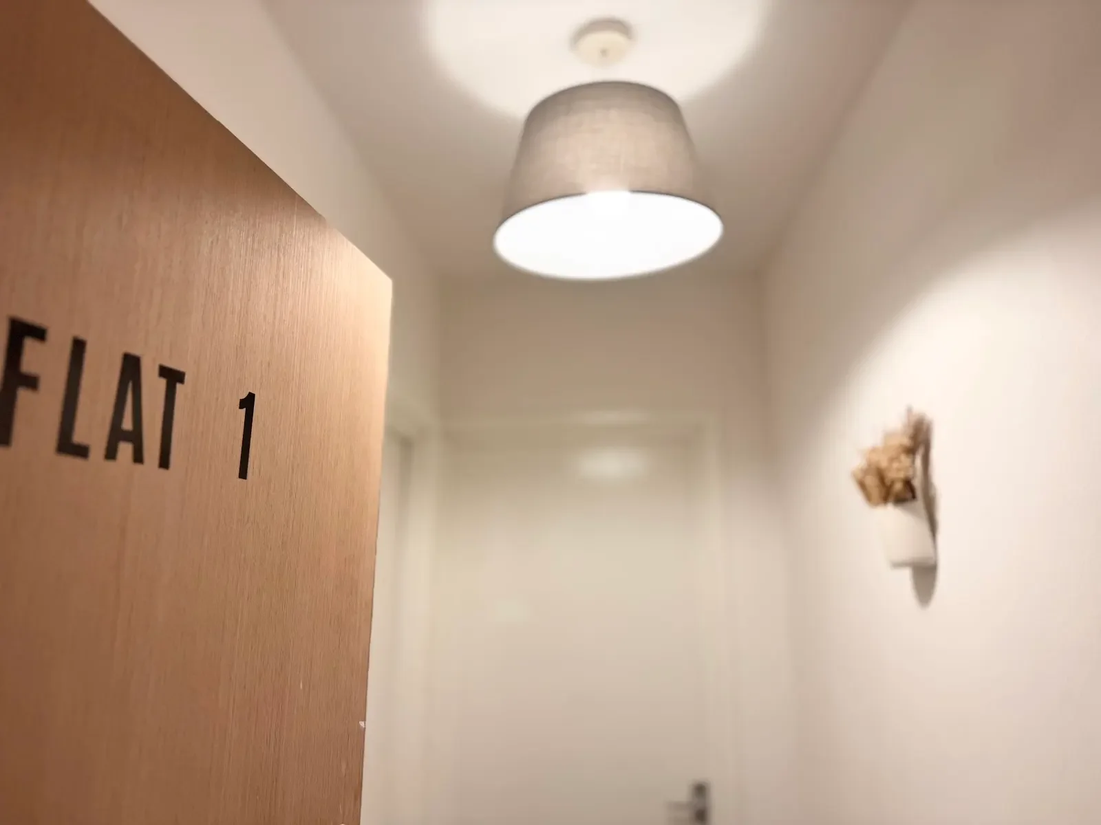 IMG_E1928 - Copy.webp