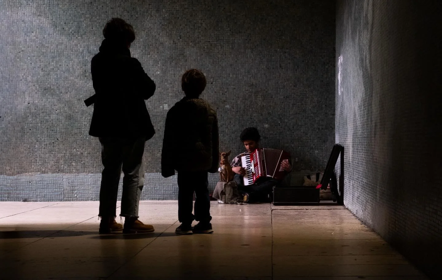 Une balade &agrave; Lisbonne, parsem&eacute;e de rencontres 🧡