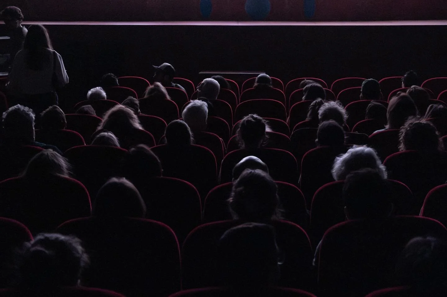 FIFIB again, avec une nouvelle s&eacute;lection d&rsquo;images du festival. 
Une fois le g&eacute;n&eacute;rique fini, la projection continue de vivre avec des discussions qui s&rsquo;allument autour de nous 🫶
@fifib33