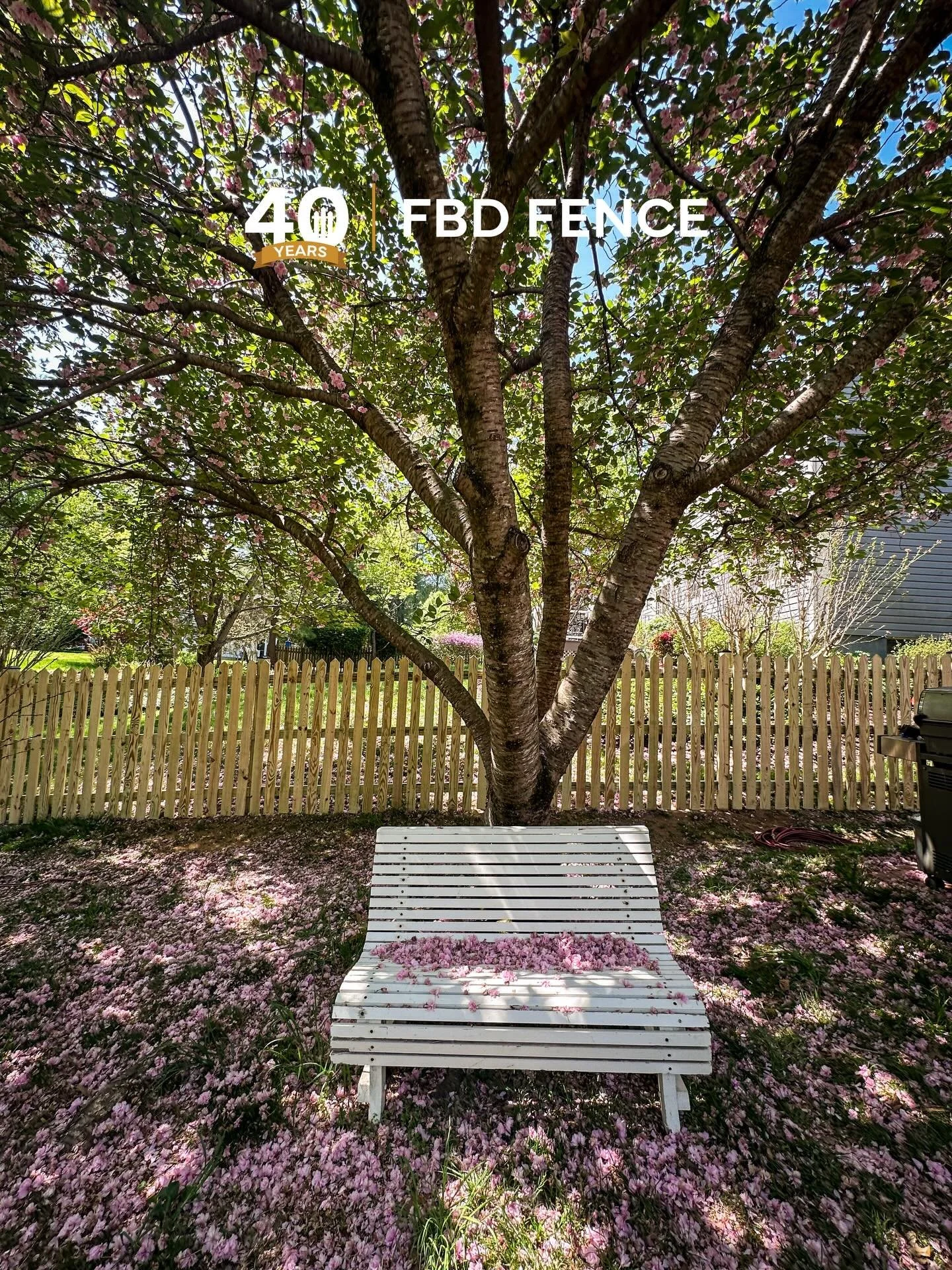 A glimpse at a recently completed pyramid top picket fence by John and Tim in Columbia! 

I had to make sure this gorgeous tree and its blossoms made the photo 🌸 Happy Friday, everyone! 

#fbdfence #fencesbydoug
