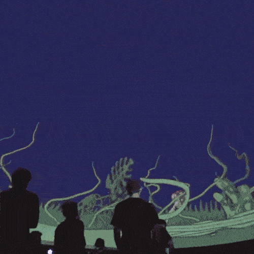 Live Visual Performace