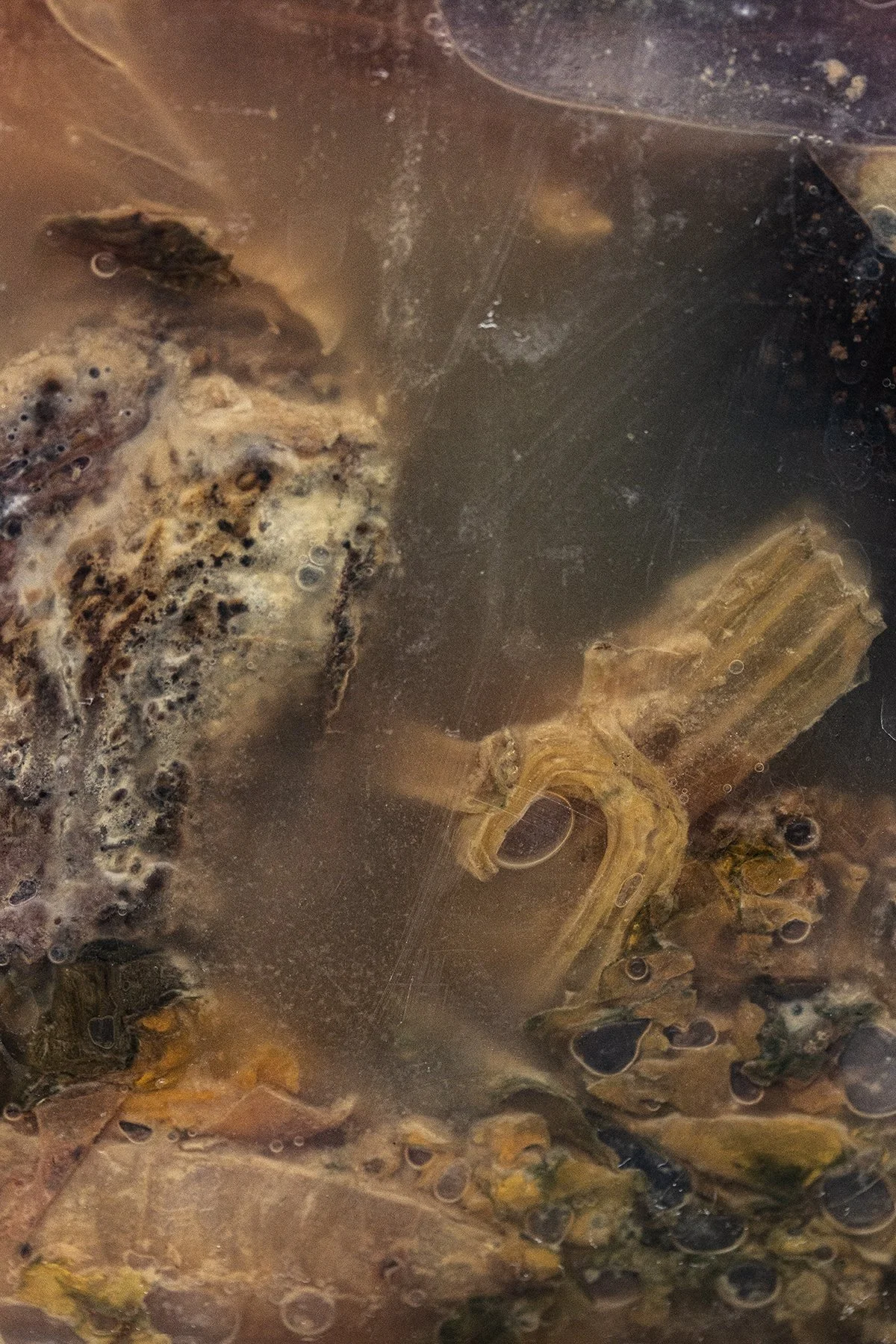 Lochness, 2020,
Archival pigment print,
24 x 16 inches