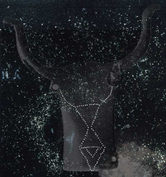 Bucrania 1, 2002-03, Archival pigment print, 24 x 22" (Private Collection)