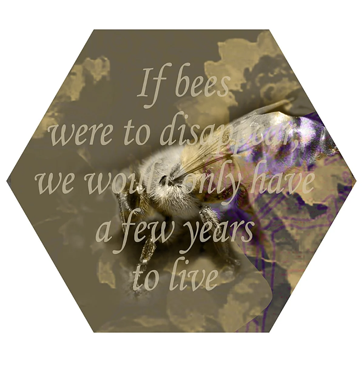 A honeybee on a flower with a quote overlayed: 'If bees were to disappear, we would only have a few years to live.'
