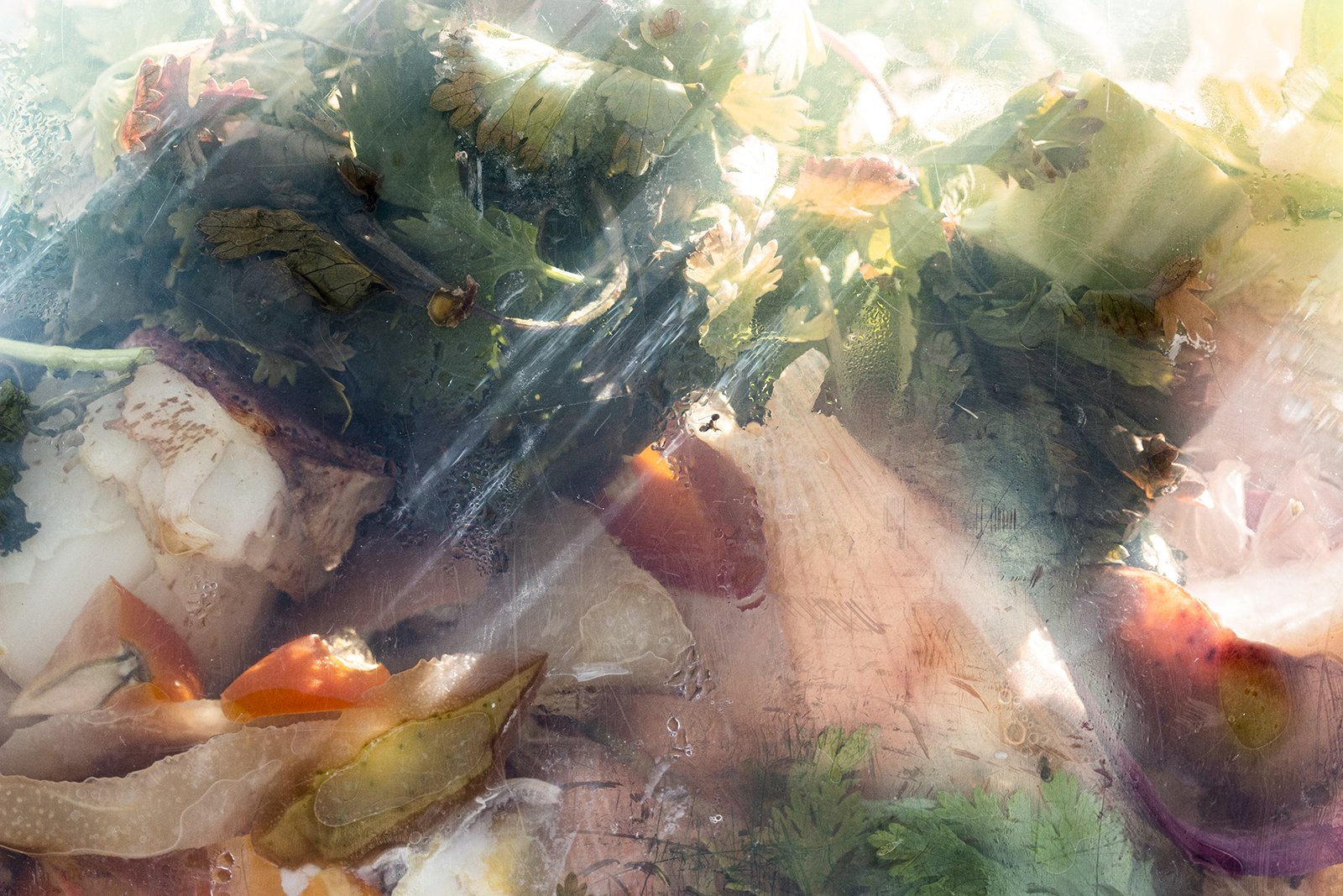 Divine Intervention, 2022, Archival pigment print, 40 x 60 inches