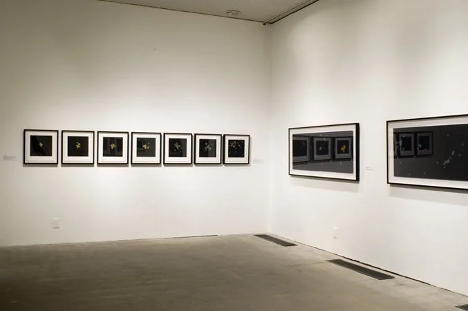 View of Hive Universe Installation, 1994-2006 at the Municipal Art Gallery in Los Angeles, Dark Matter
