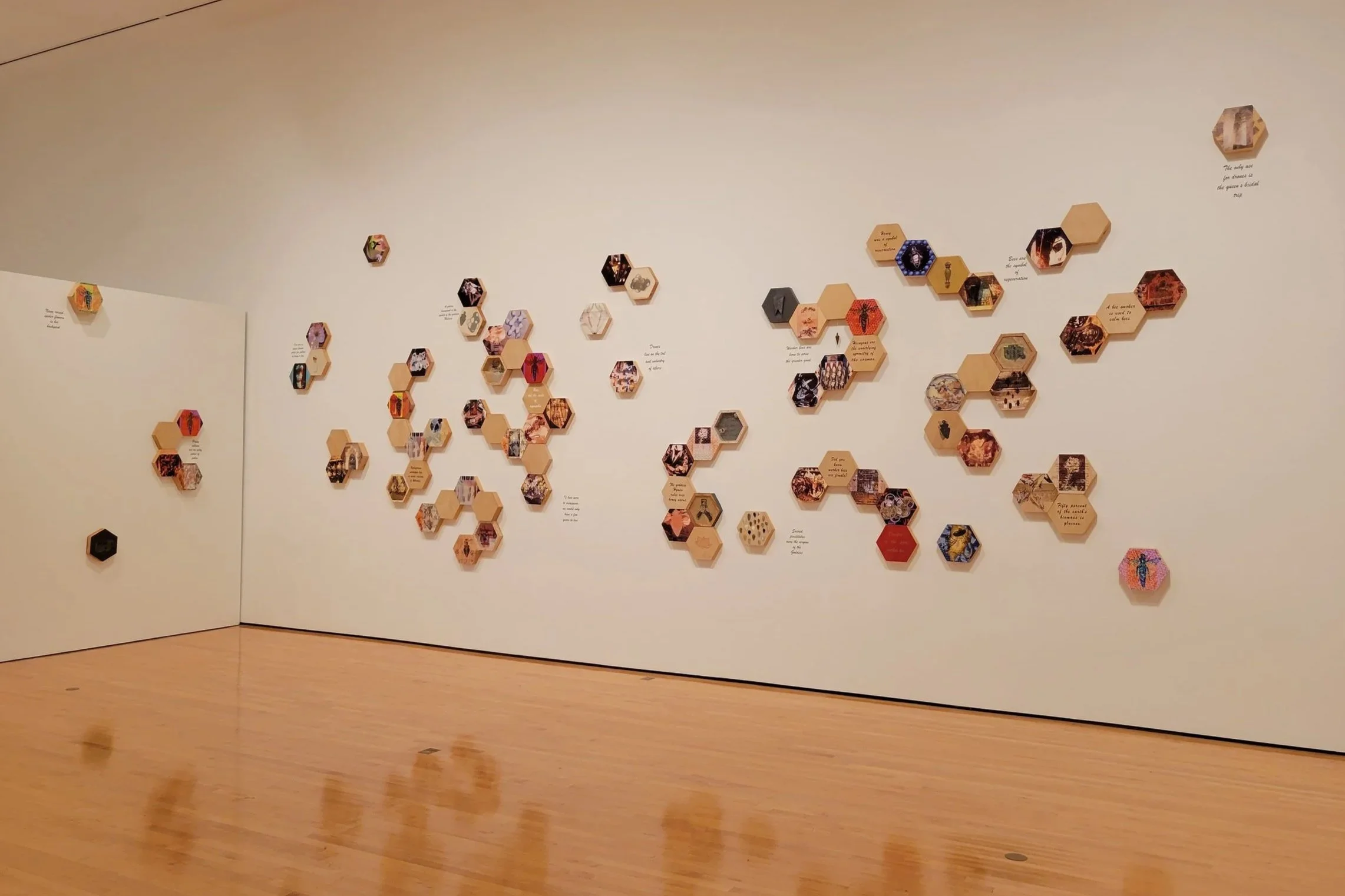 Installation: Hilliard Art Museum, Lafayette, LA, 2021