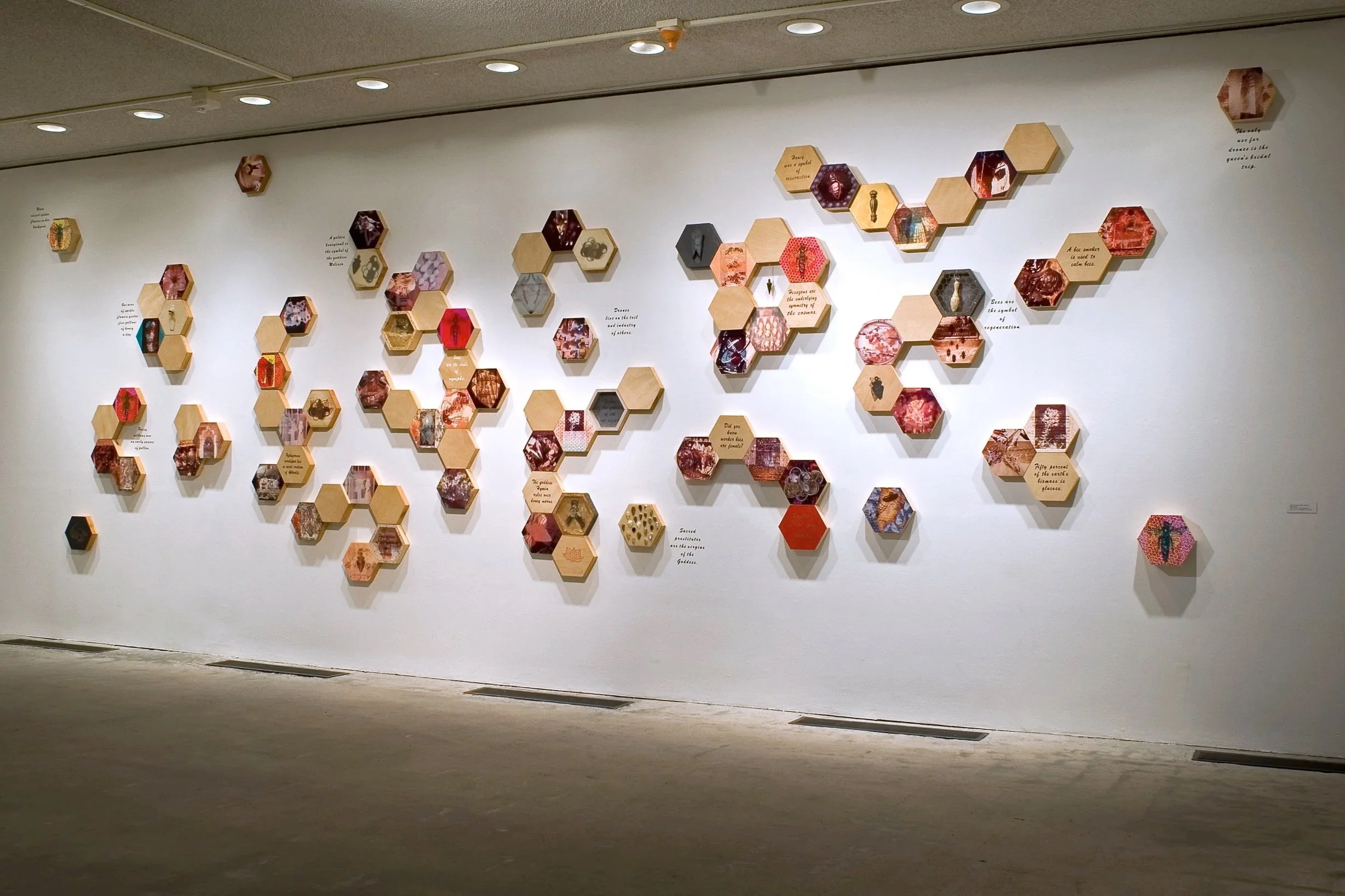Installation: Municipal Art Gallery, Los Angeles, CA, 2006