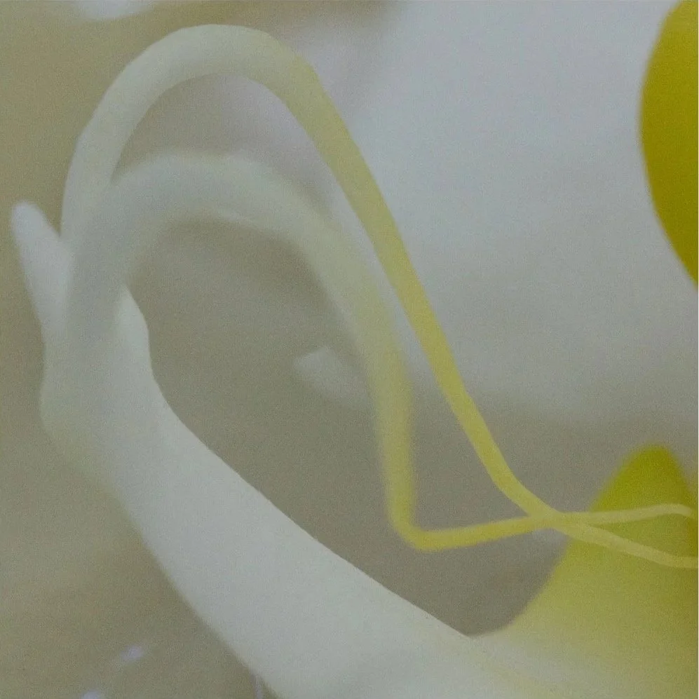 In Four Movements 2, 2011, Archival digital print on wood panel, 18 X 18 X 2" (Ltd edition)