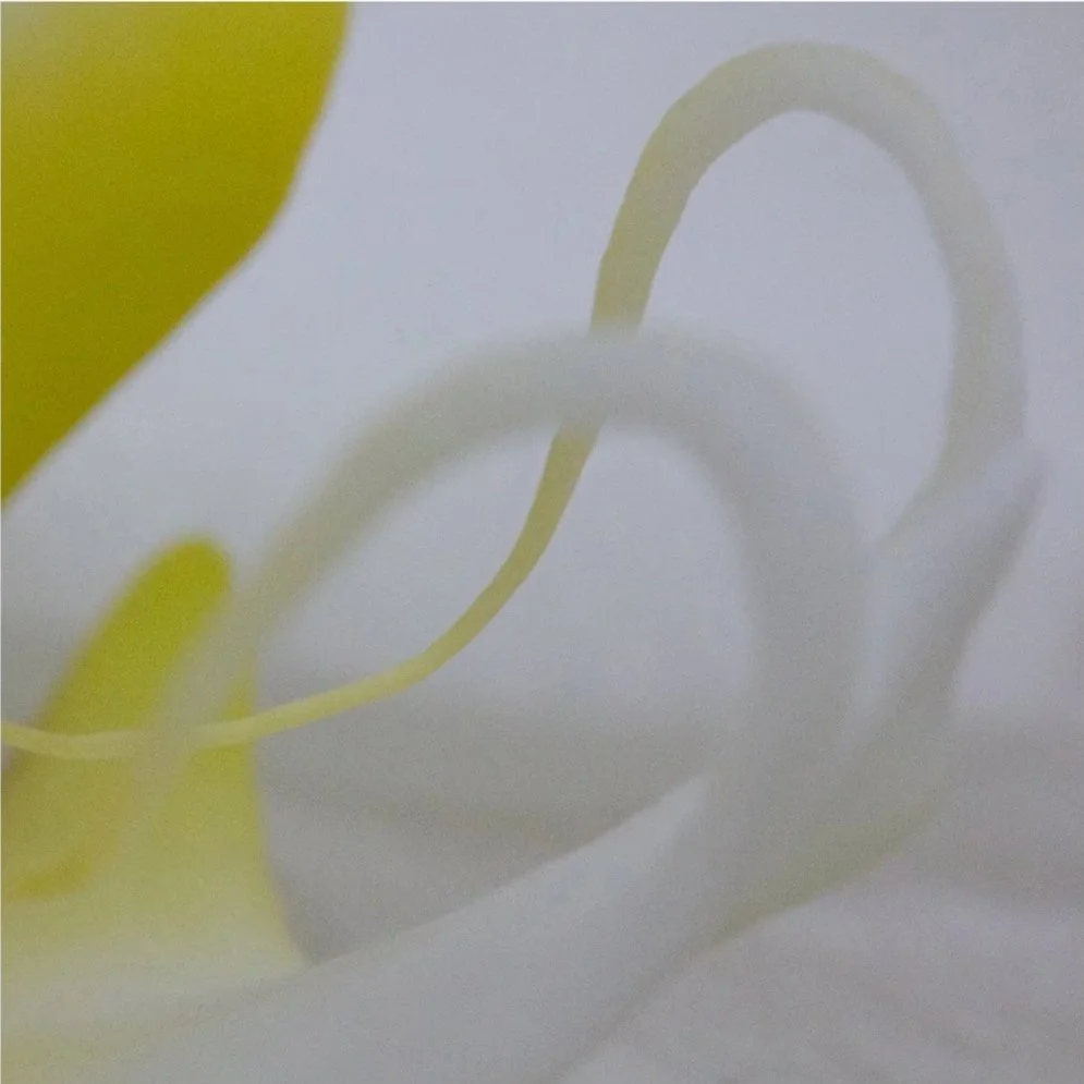 In Four Movements 3, 2011, Archival digital print on wood panel, 18 X 18 X 2" (Ltd edition)