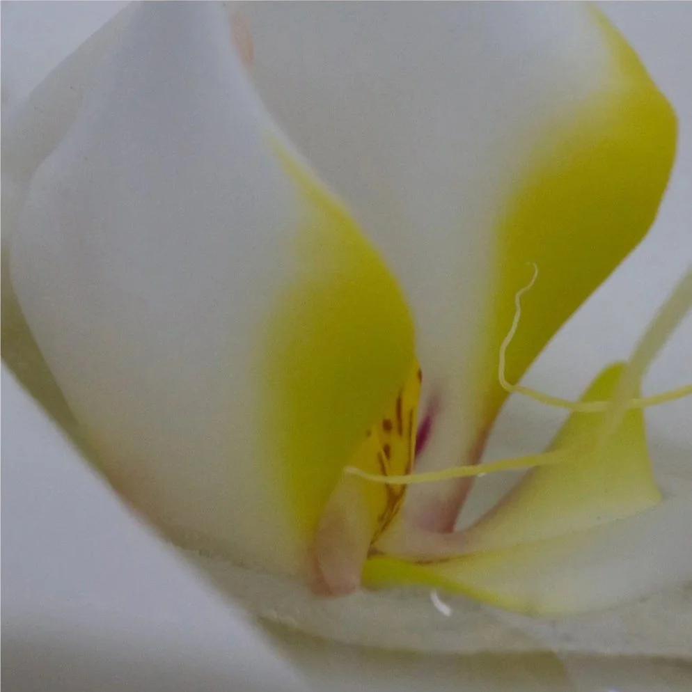 In Four Movements 4, 2011, Archival digital print on wood panel, 18 X 18 X 2" (Ltd edition)