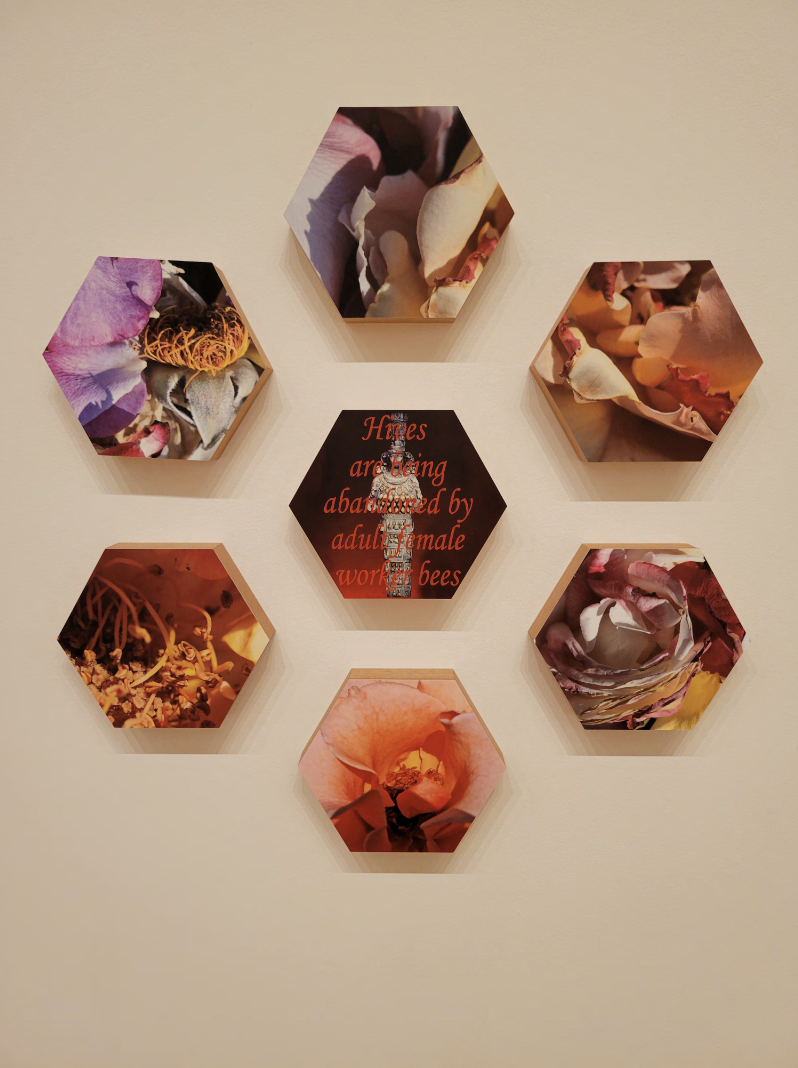 Screenshot 2025-12-03 at 8.30.19 PM.png