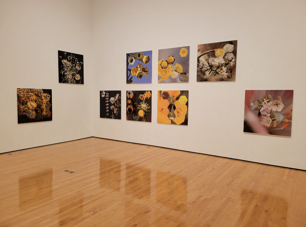 Screenshot 2025-12-03 at 8.31.16 PM.png